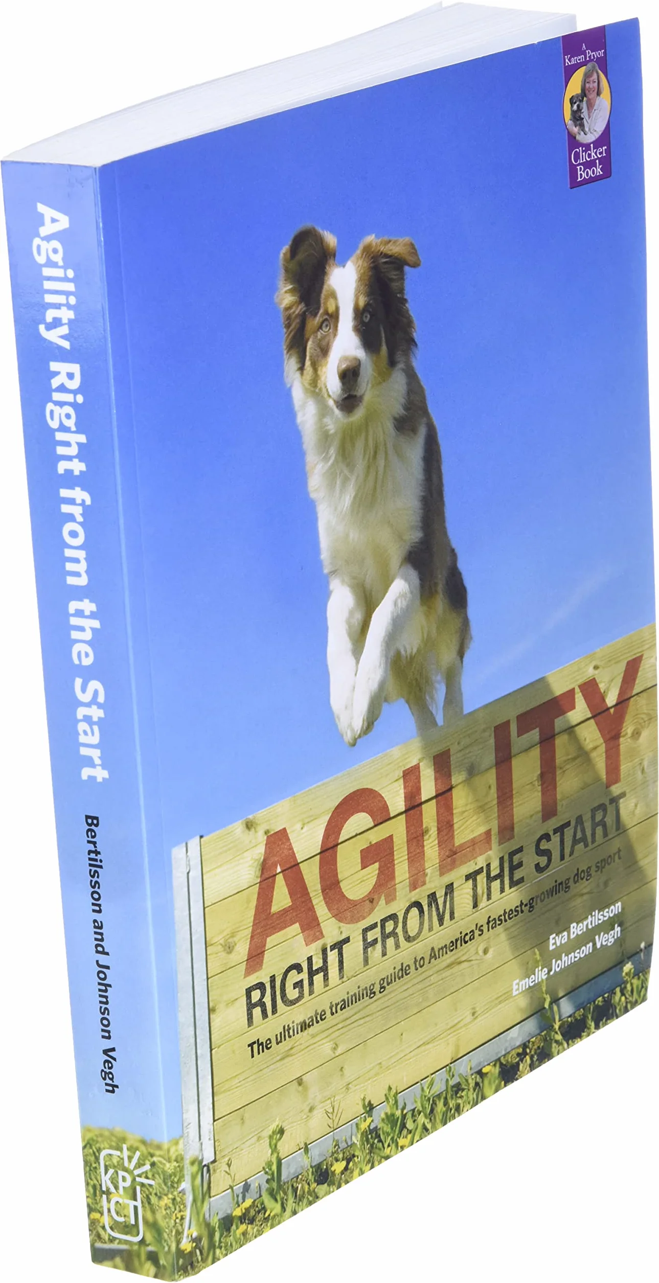 Agility Right from the Start