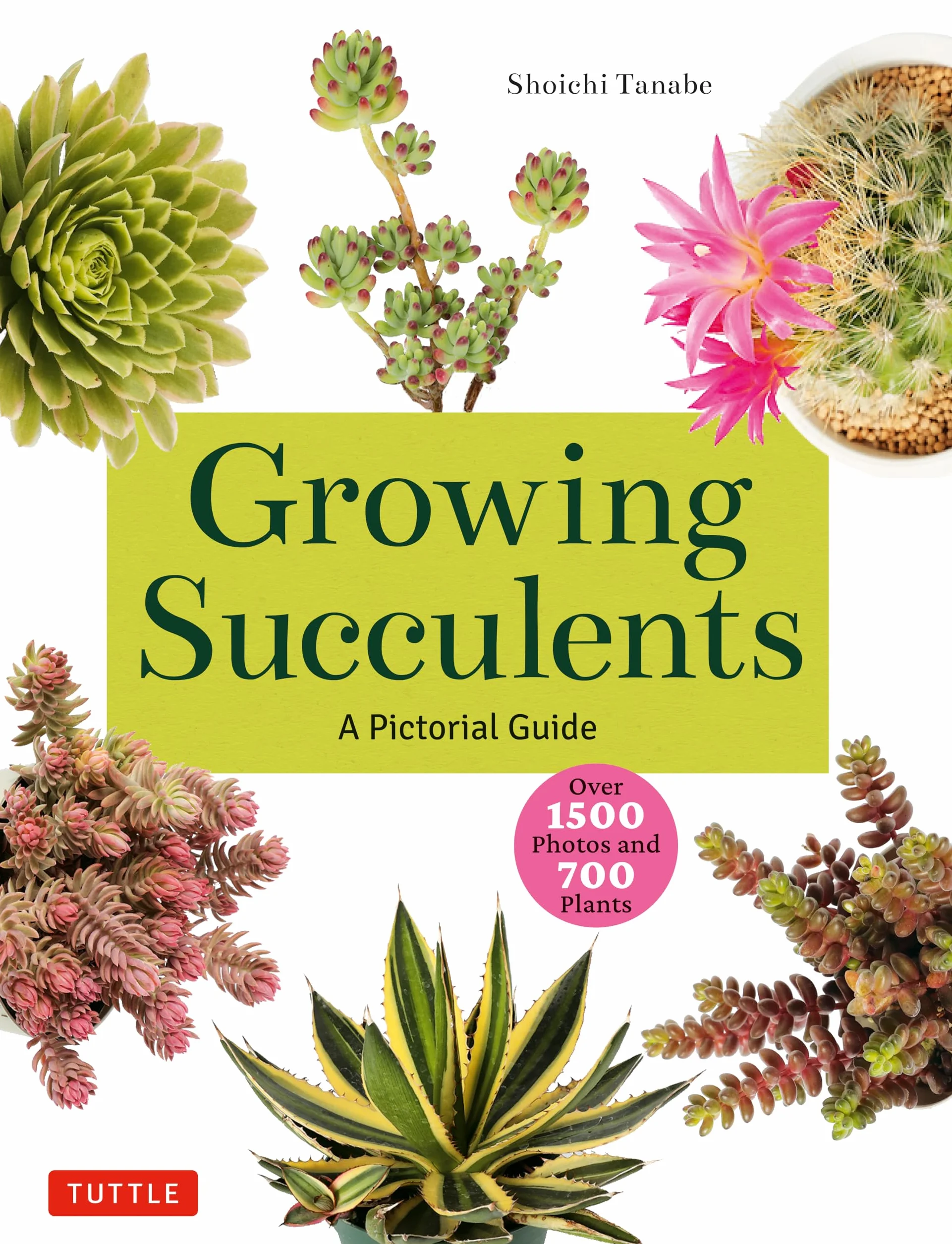 Growing Succulents: A Pictorial Guide (Over 1,500 Photos and 700 Plants)
