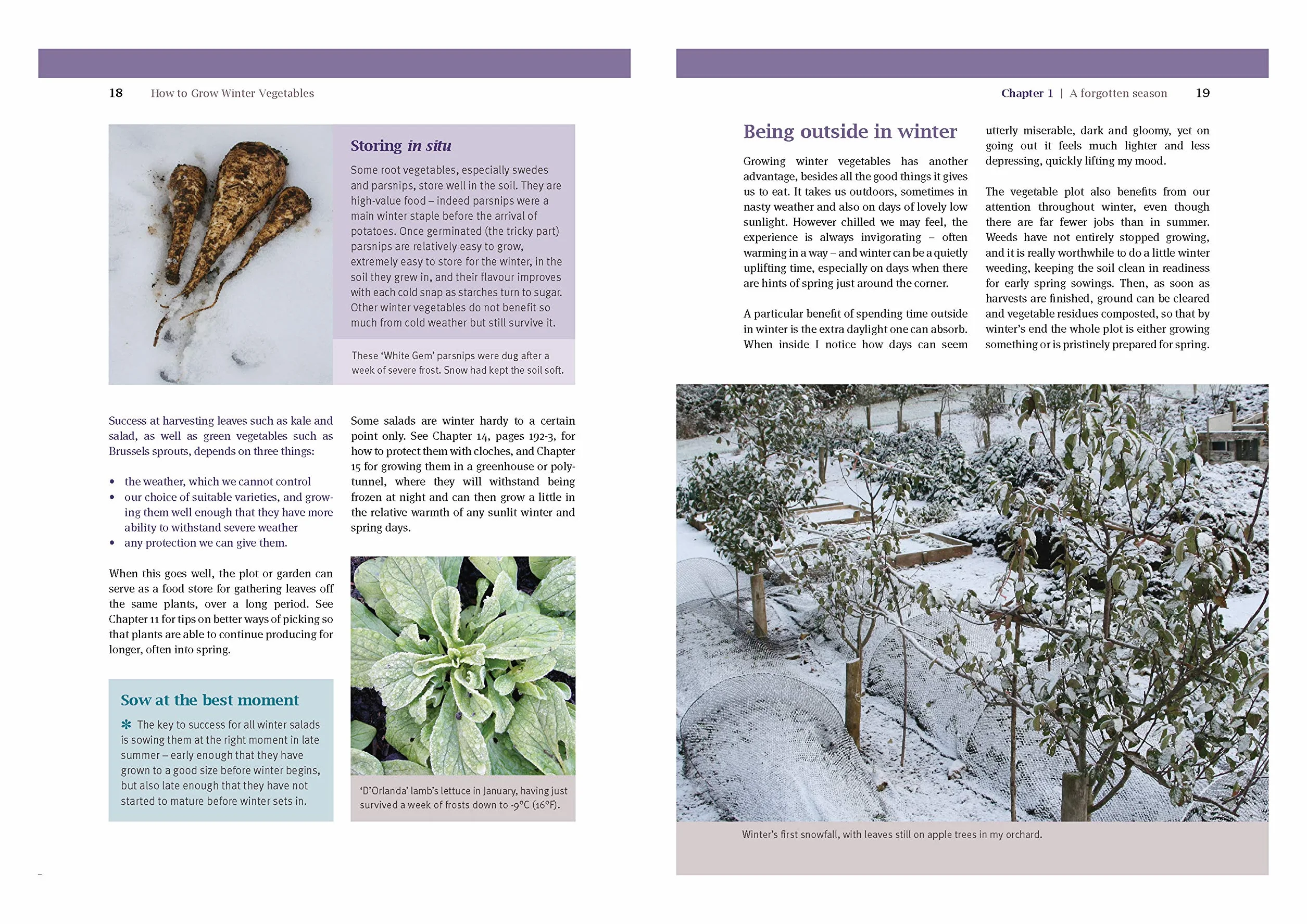 How to Grow Winter Vegetables