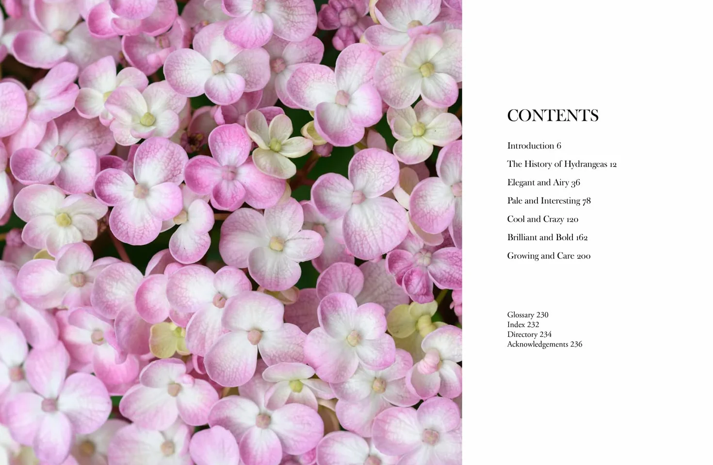 Hydrangeas: The ultimate flower guide for growing, flowering and cutting varieties for the home and gardening