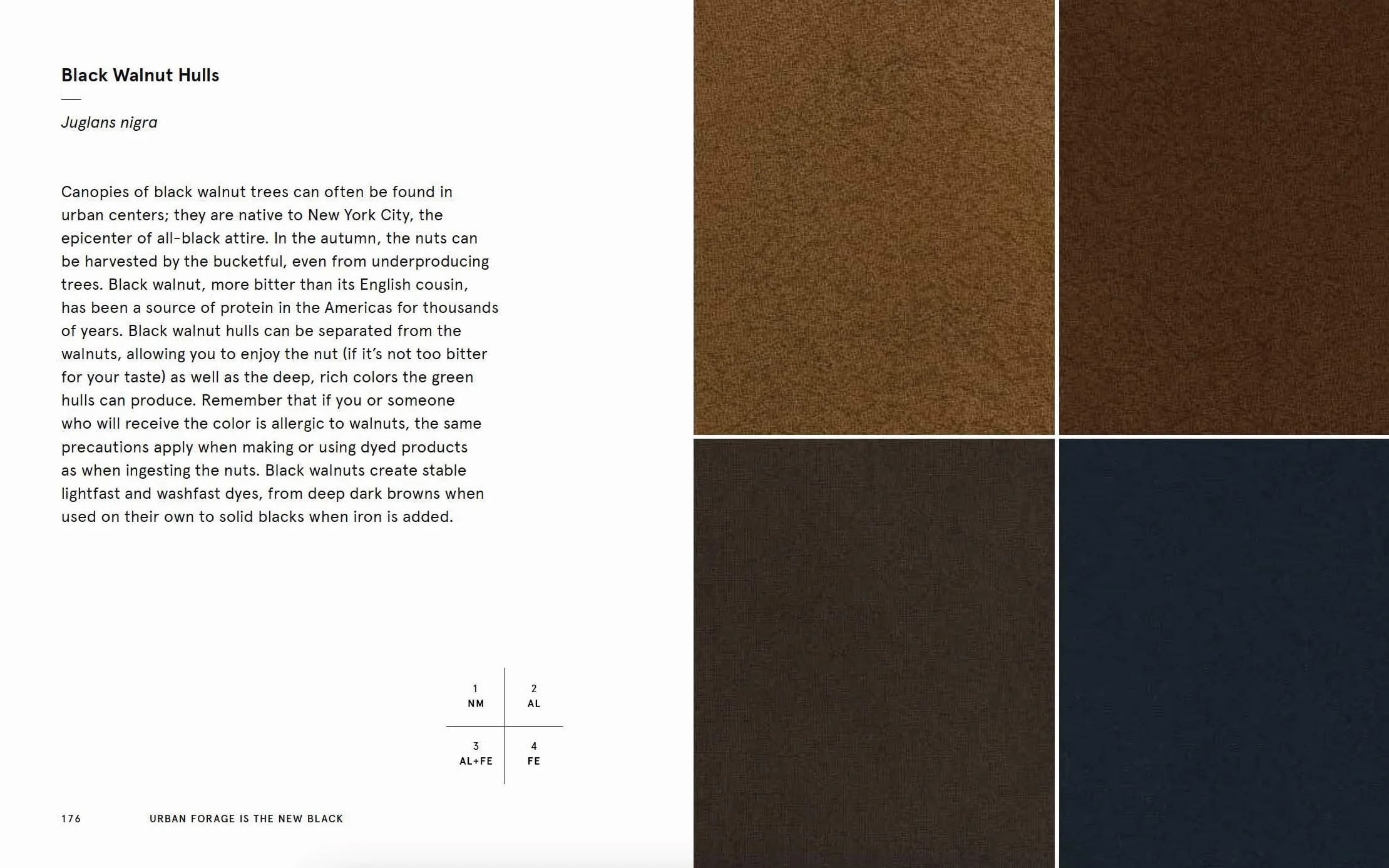 Natural Palettes: Inspiration from Plant-Based Color