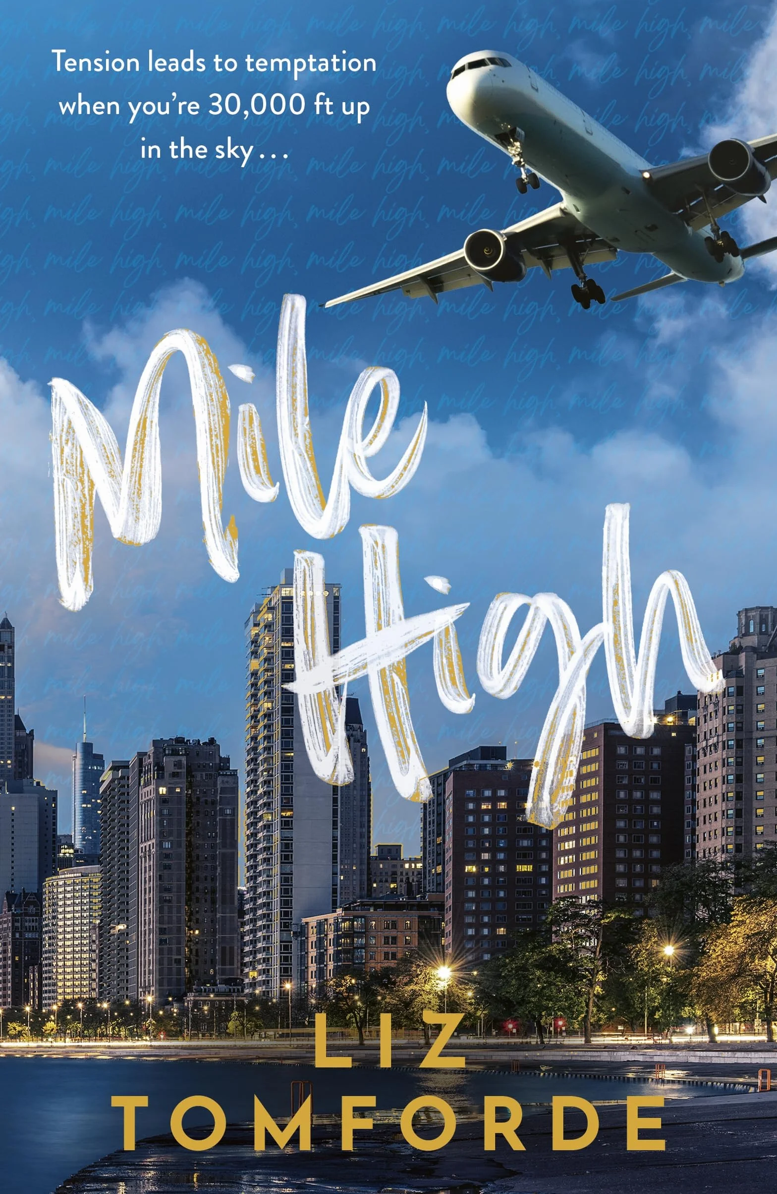 Mile High: The unputdownable first book in TikTok sensation, the Windy City series, featuring an ice hockey enemies-to-lovers sports romance: 1