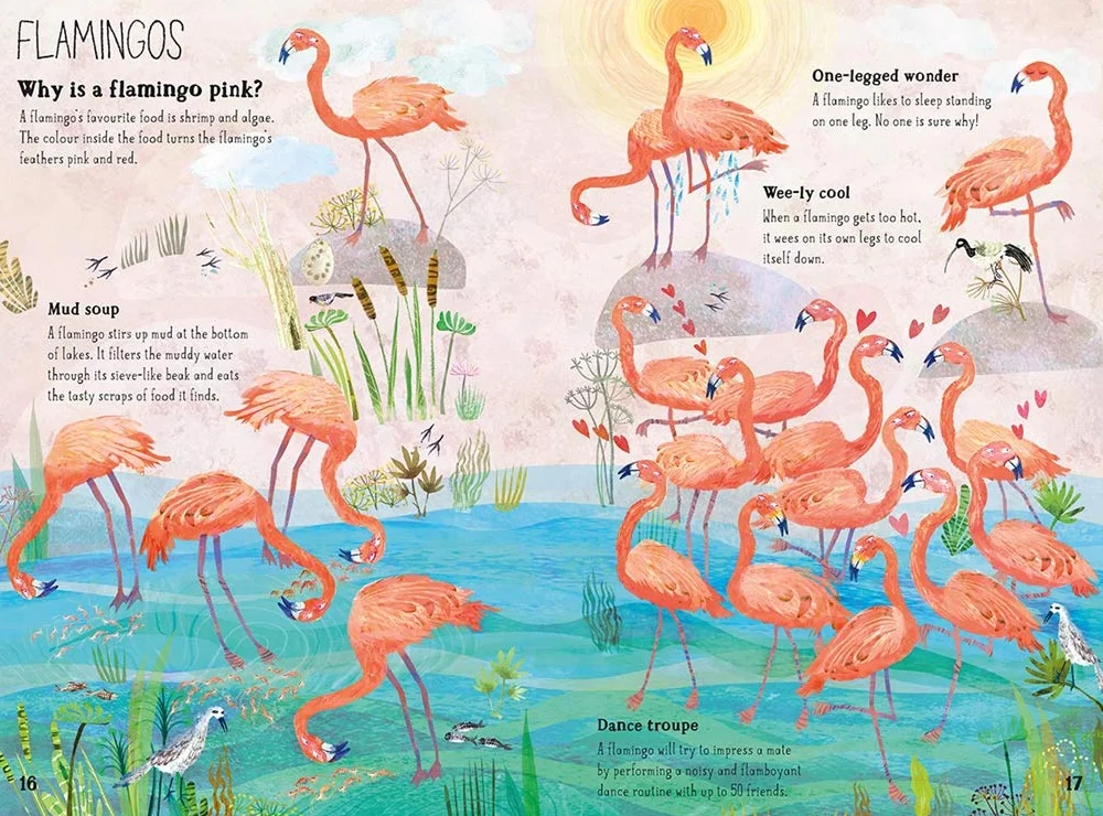 The Big Book of Birds: 0