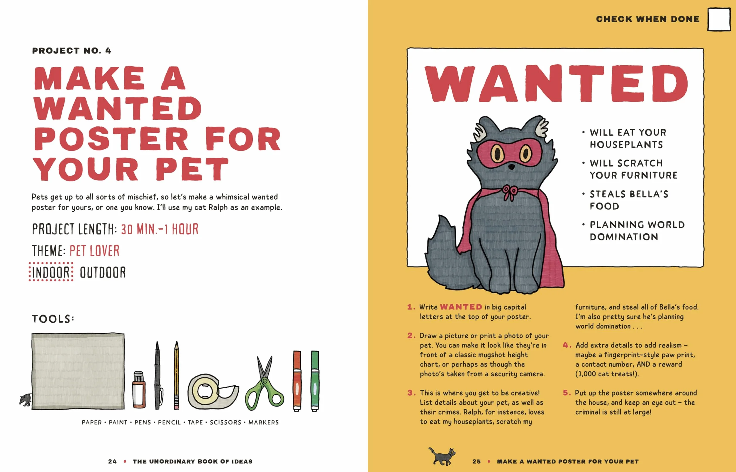 The Unordinary Book of Ideas: Everywhen Projects For Rainy Days