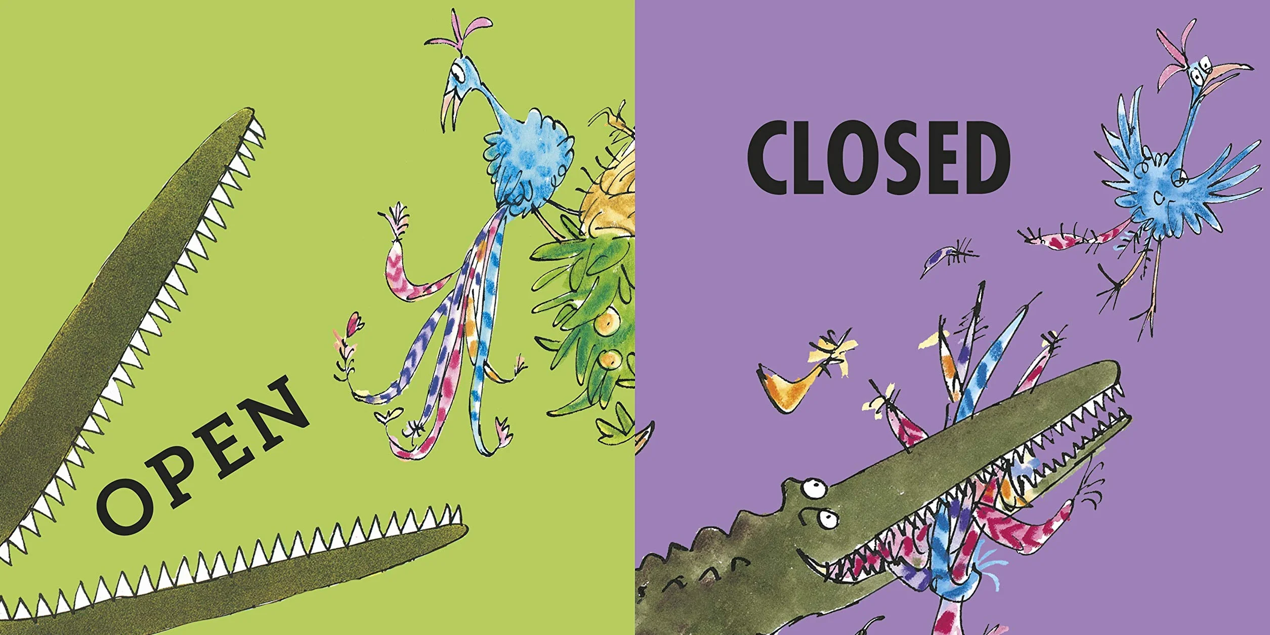 Roald Dahl's Opposites Lift-the-Flap Book