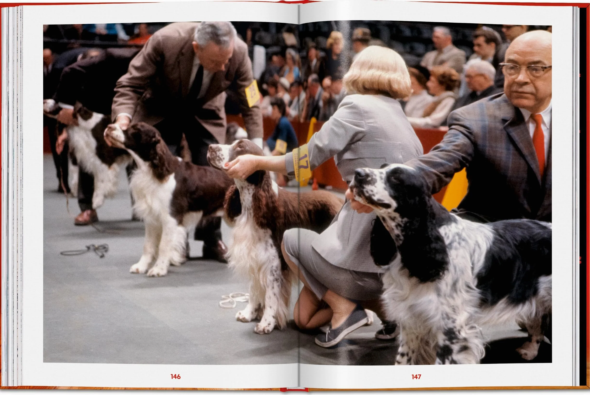 Walter Chandoha. Dogs. Photographs 1941-1991