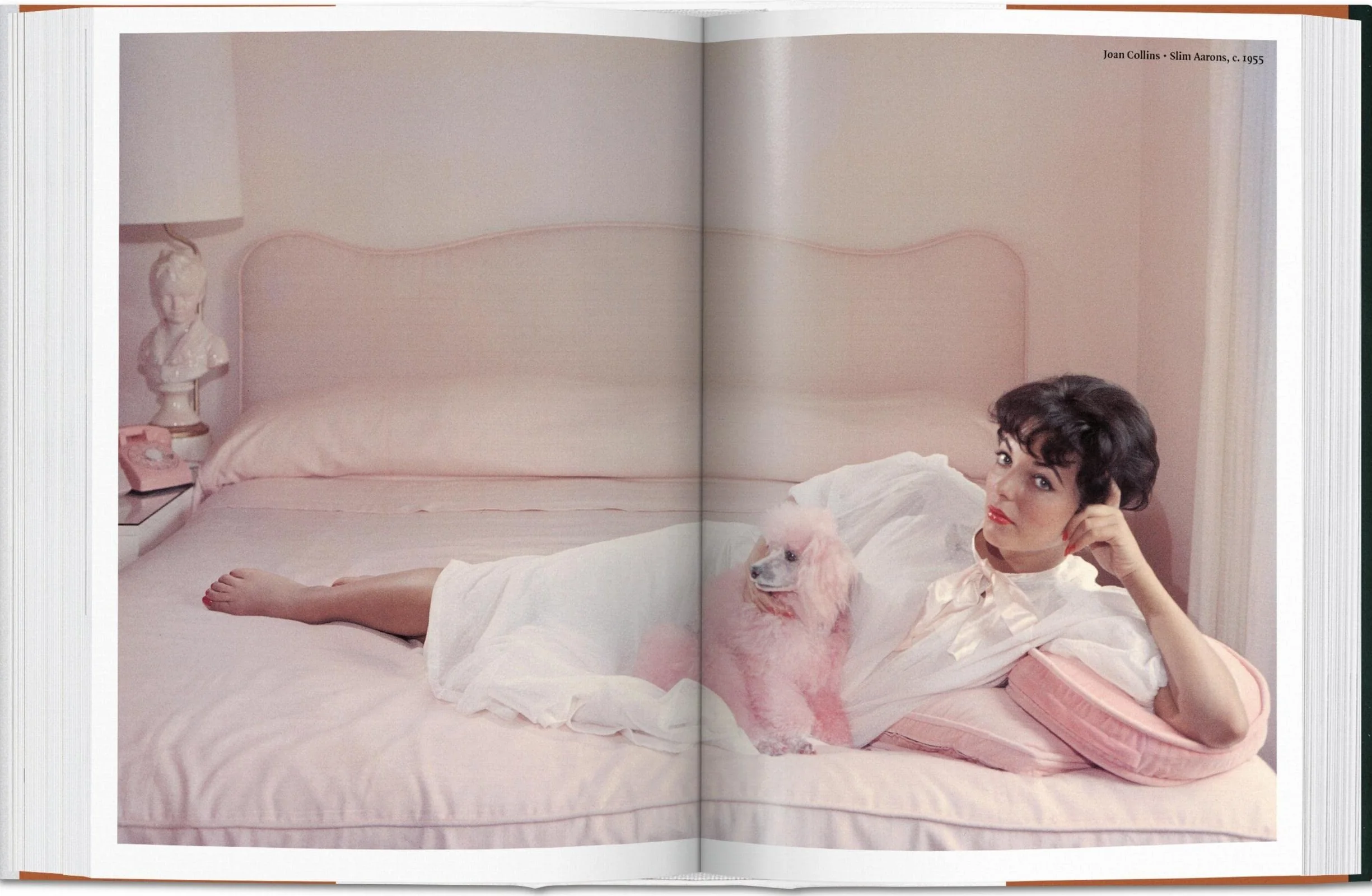The Dog in Photography: 1839-Today