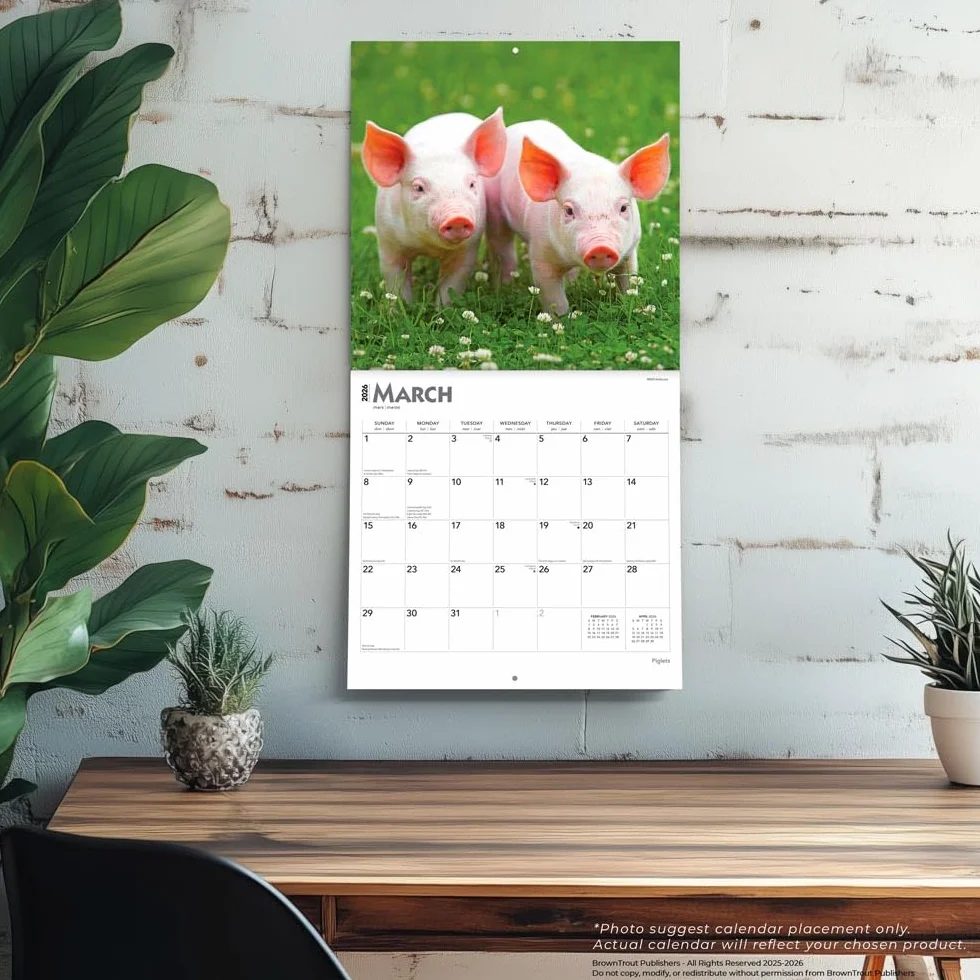 Piglets – Ferkel 2026 – 16-Monatskalender: Original BrownTrout-Kalender [Mehrsprachig] [Kalender]