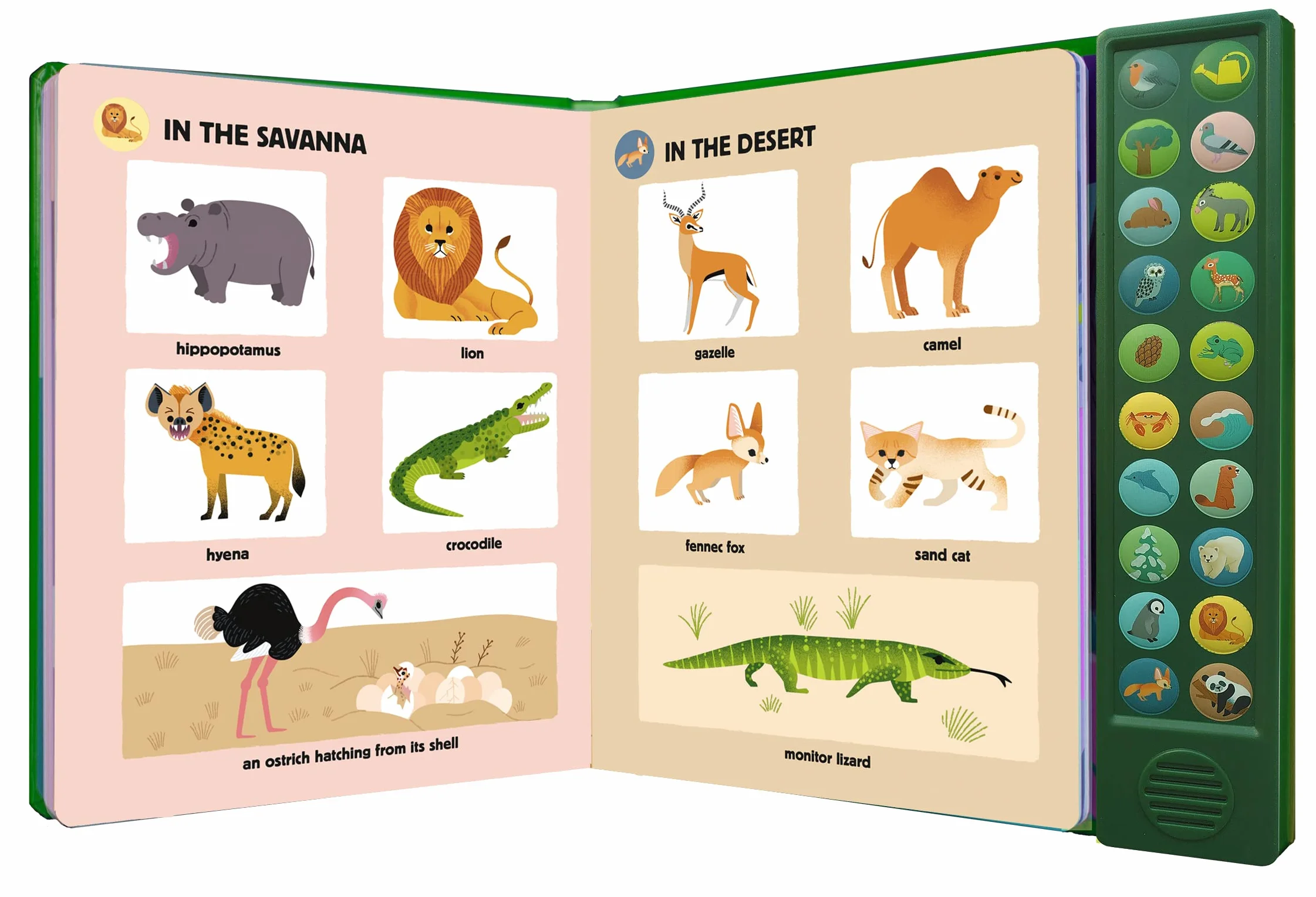 My Big Book of Nature Sounds