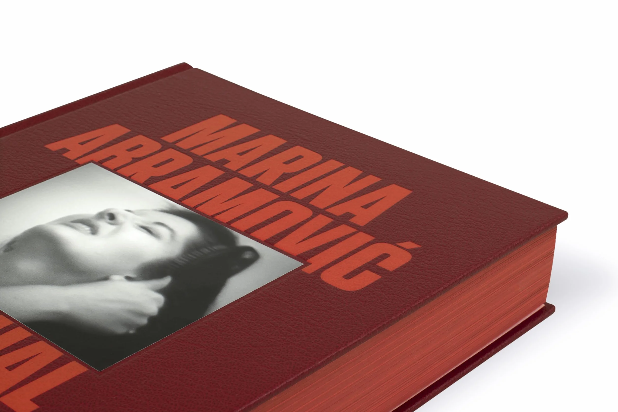 Marina Abramovic A Visual Biography /anglais