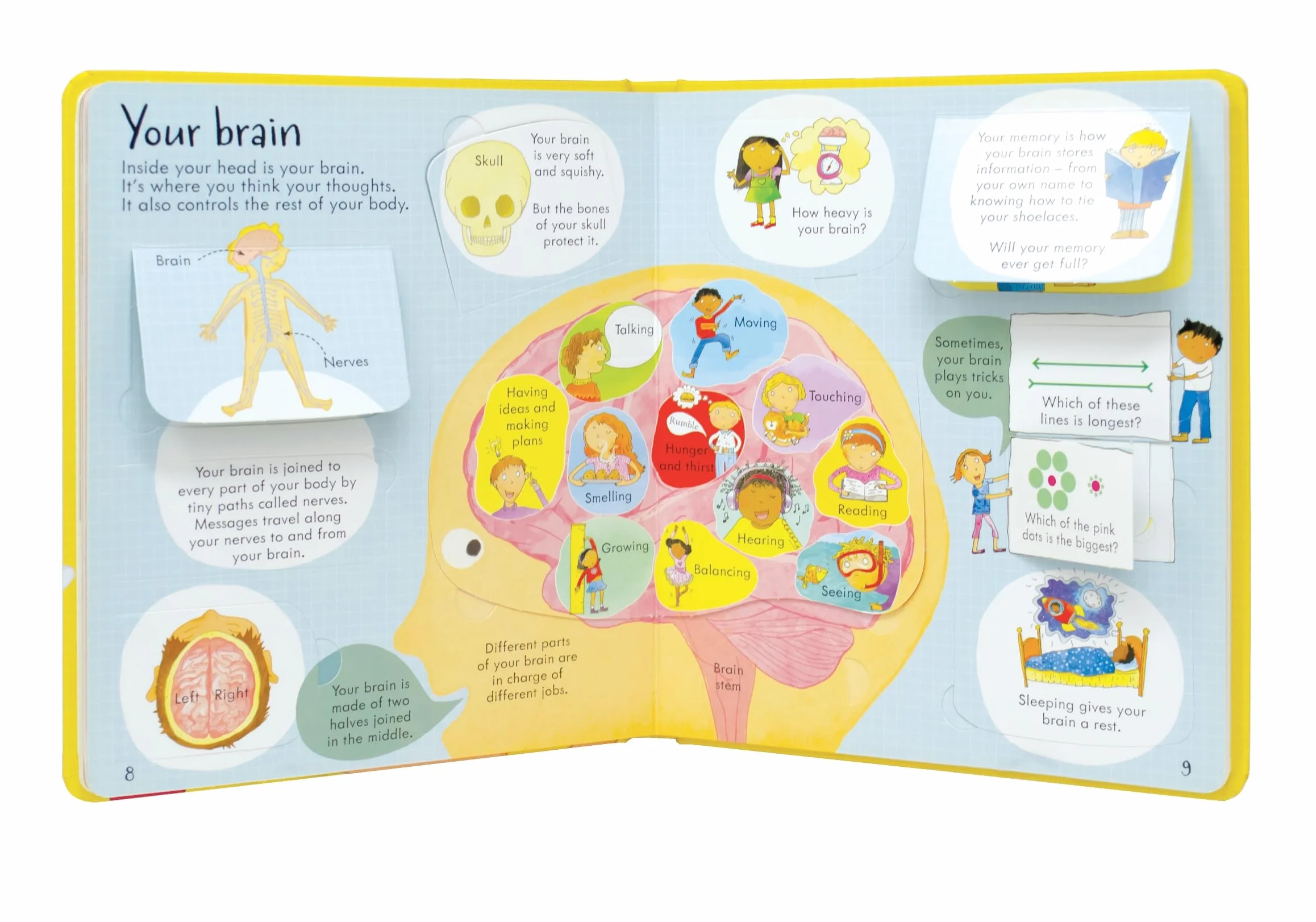 Look Inside Your Body (Look Inside Board Books): 1