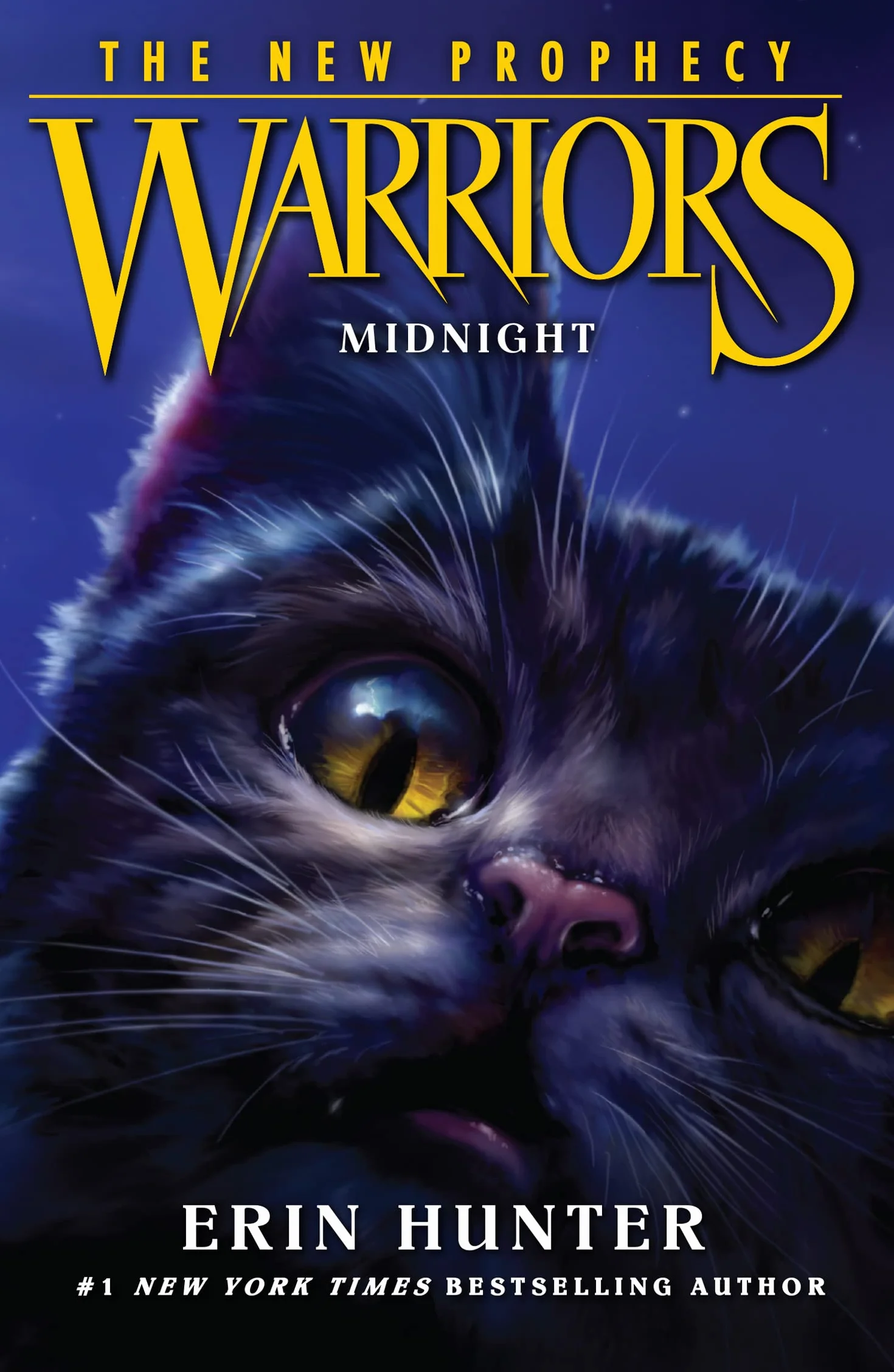 MIDNIGHT: Return to the land of the Warrior Cats in the second generation of this bestselling children’s fantasy series: Book 1