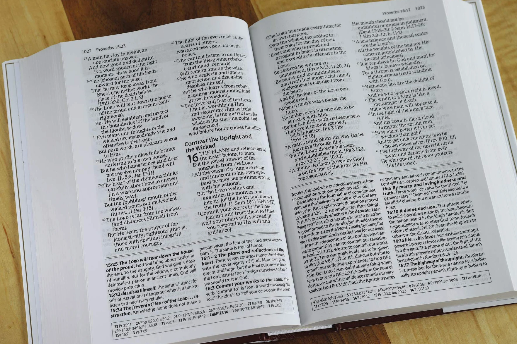 Amplified Study Bible, Hardcover