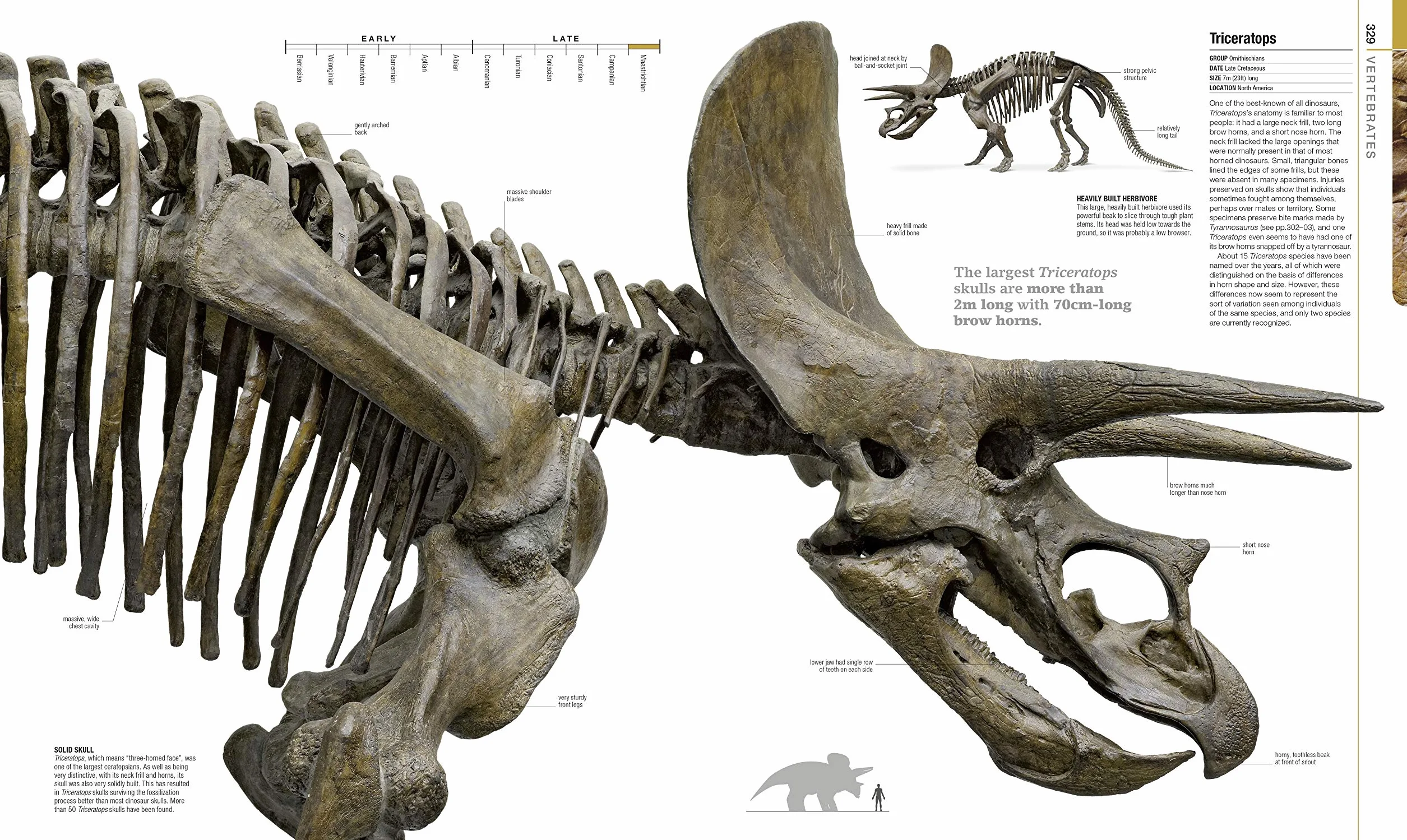 Dinosaurs and Prehistoric Life: Definitive Visual Guide
