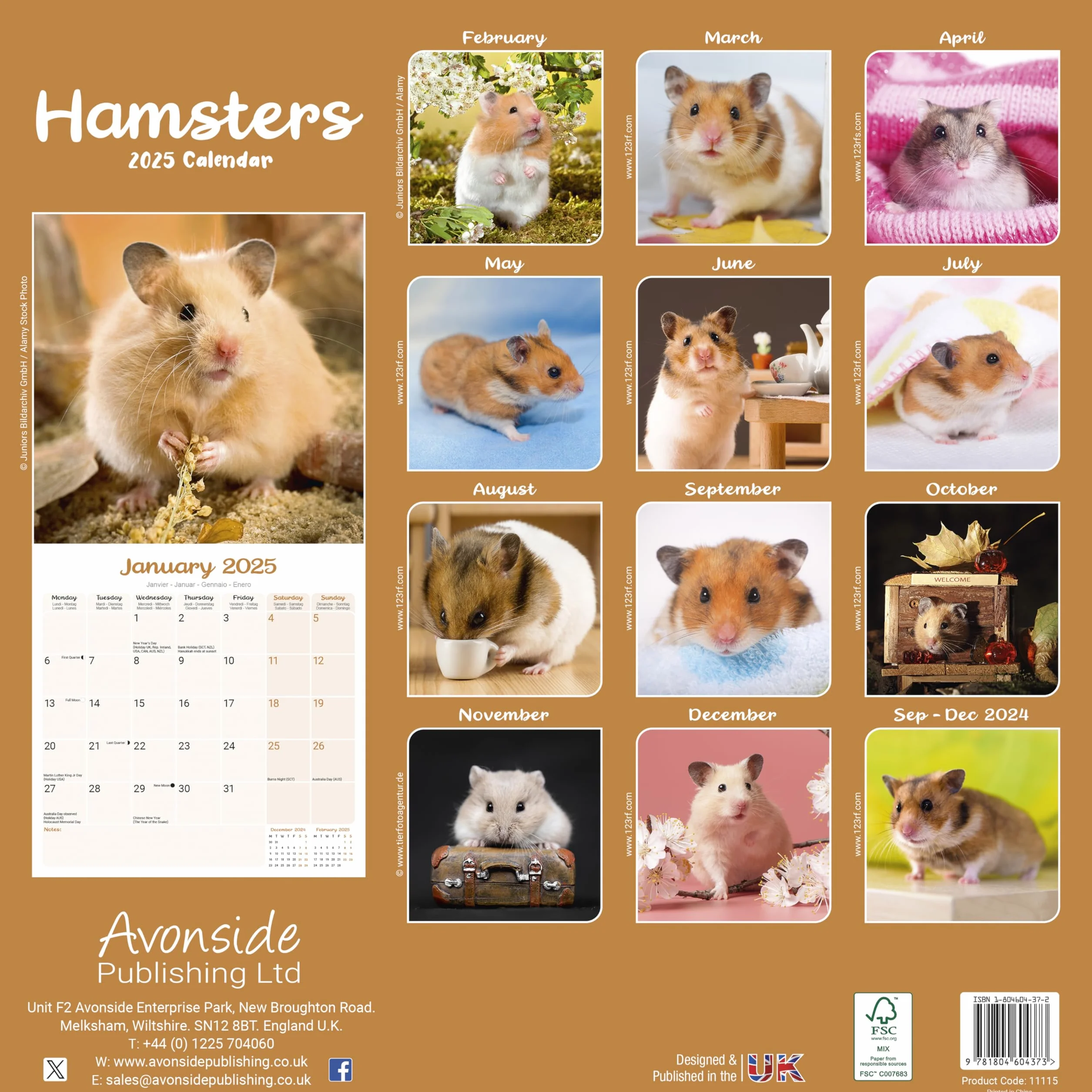 Hamsters Calendar 2025 Square Animal Wall Calendar - 16 Month: Original Avonside-Kalender [Mehrsprachig] [Kalender]