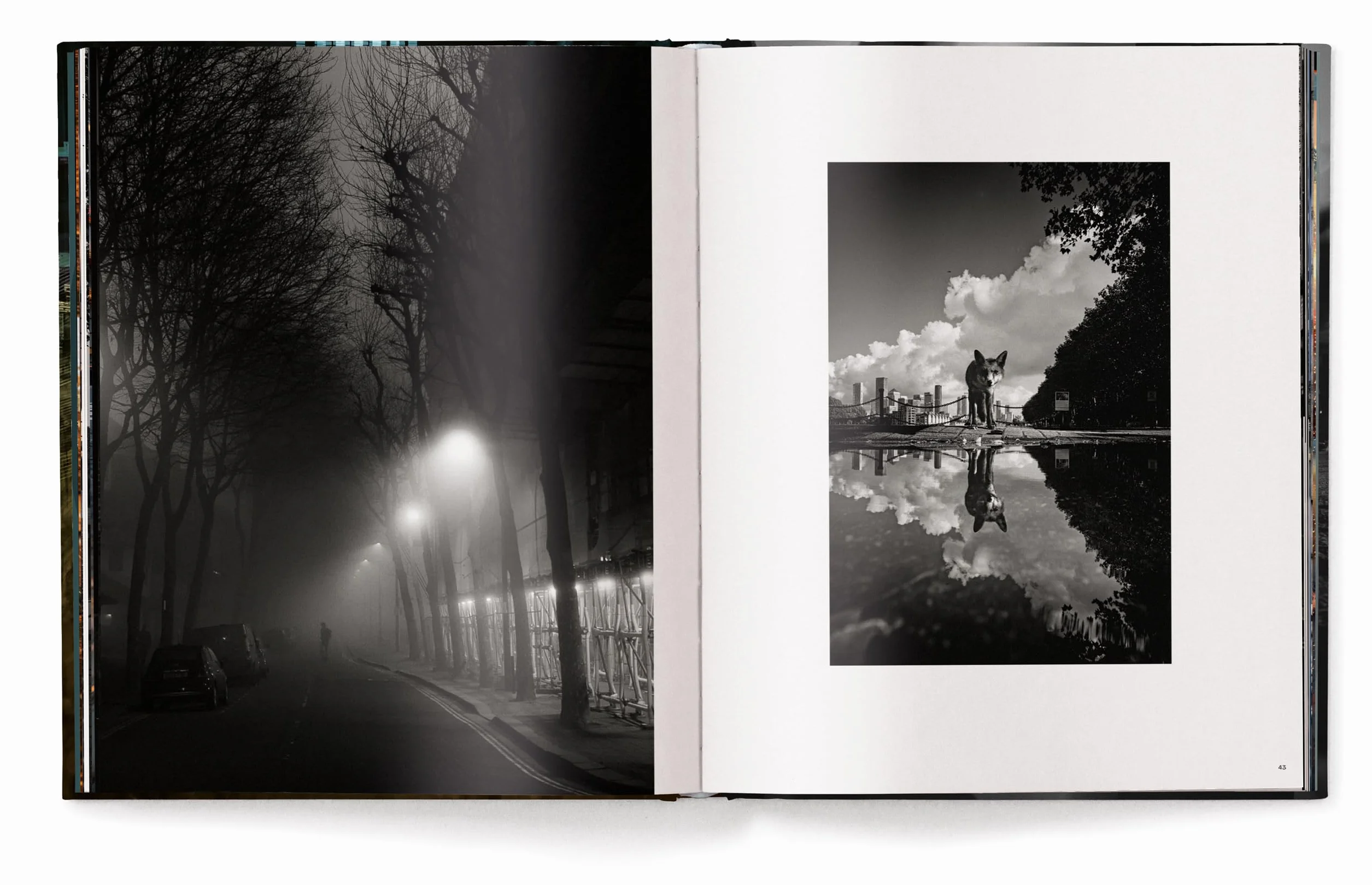 Ovidiu Selaru London in Frames /anglais