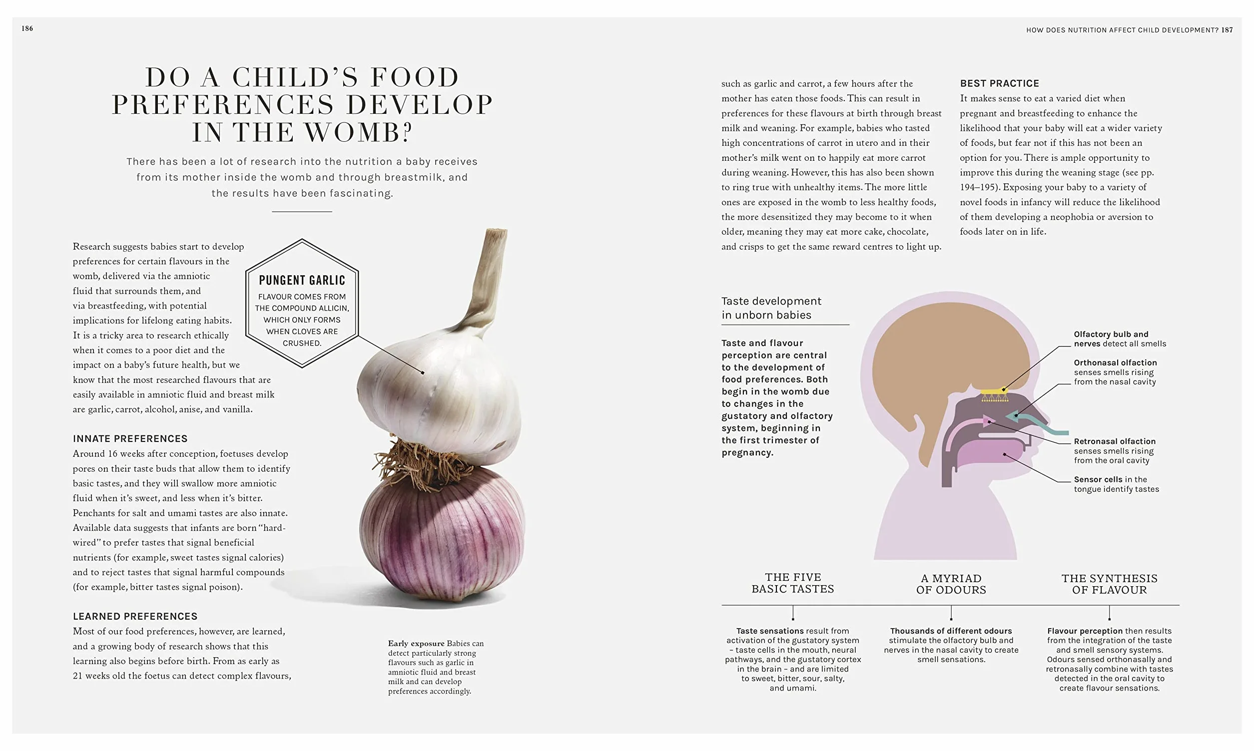 The Science of Nutrition: Debunk Diet Myths, Healthy Eating Guide