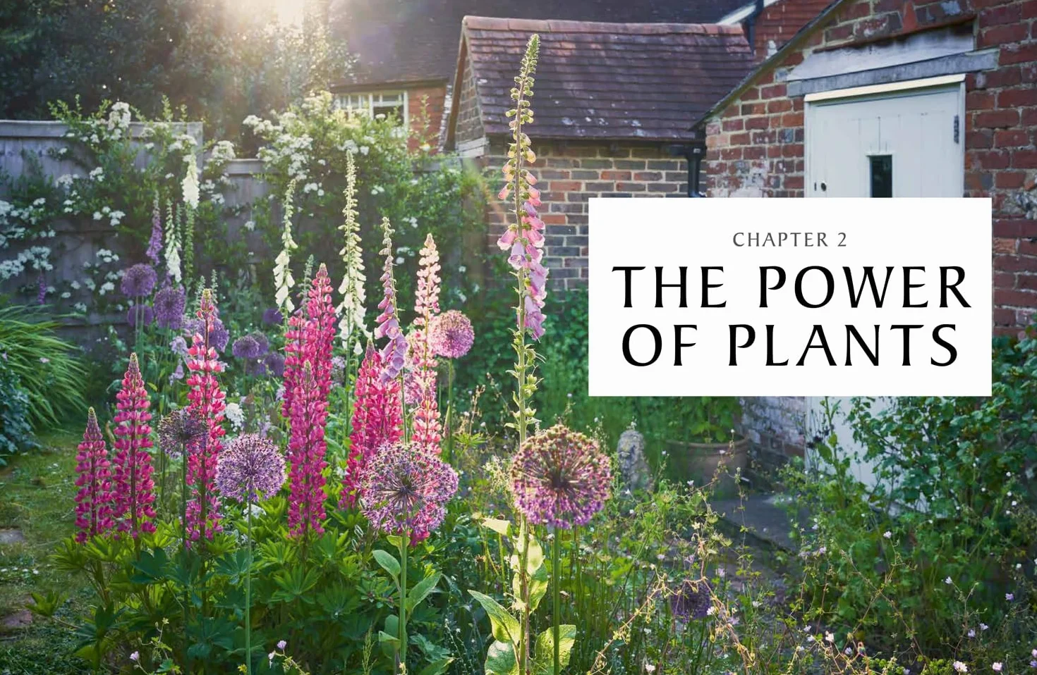The National Trust Book of Nature-Friendly Gardening: An inspiring and practical guide to greener gardening