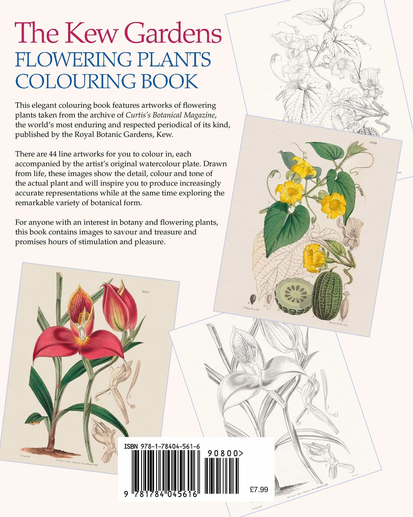 The Kew Gardens Flowering Plants Colouring Book: Over 40 Beautiful Illustrations Plus Colour Guides