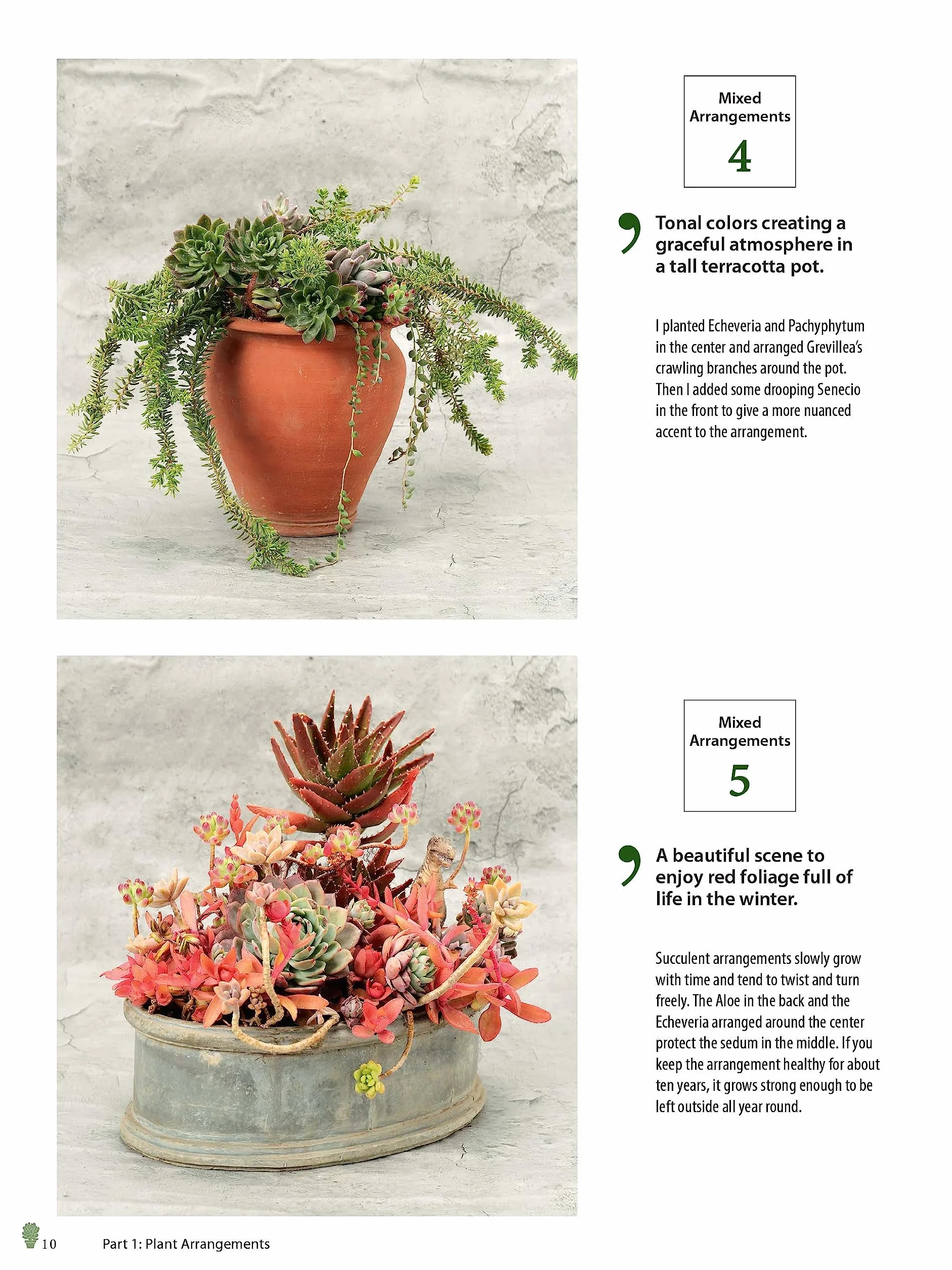 Growing Succulents: A Pictorial Guide (Over 1,500 Photos and 700 Plants)