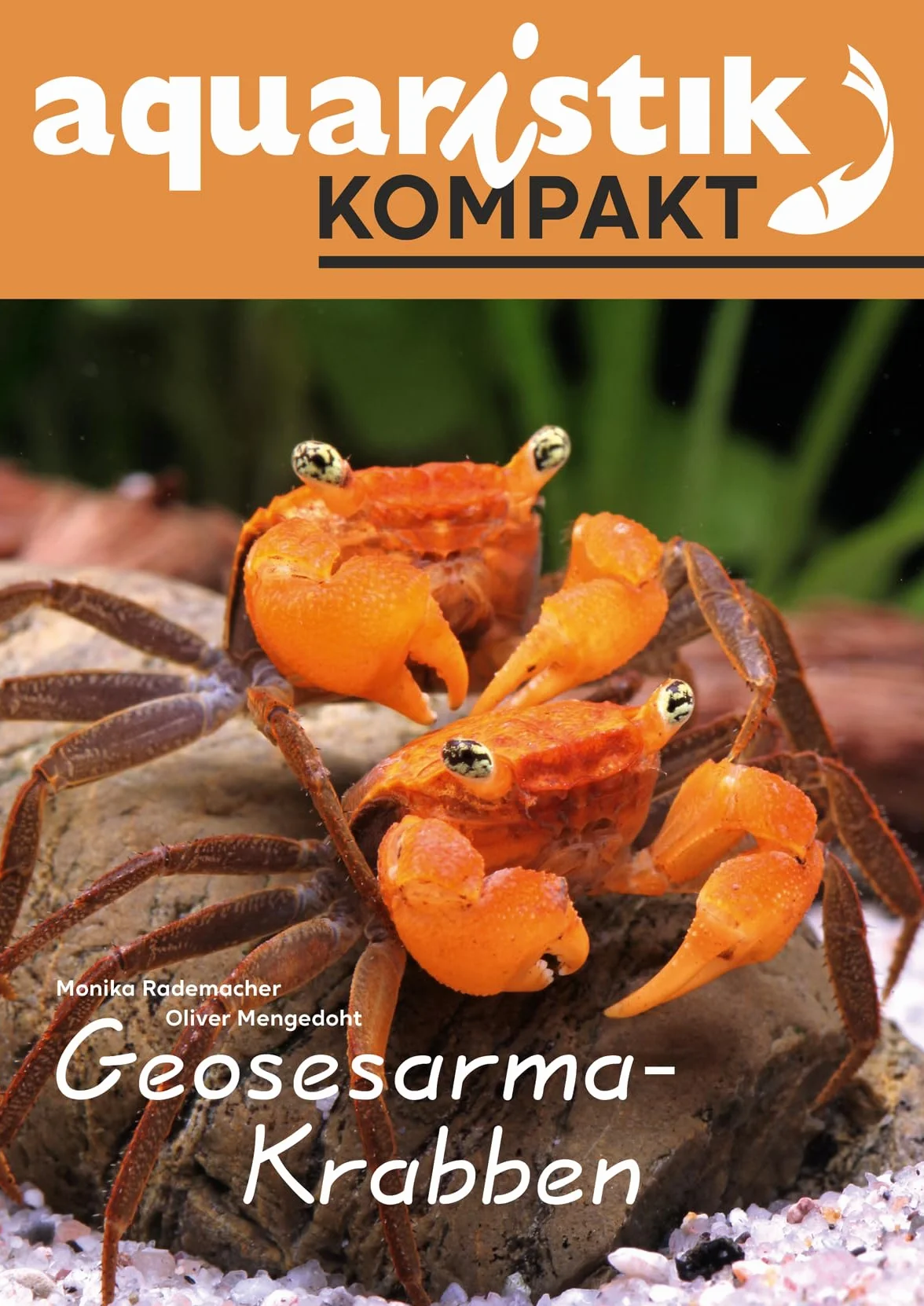 Geosesarma-Krabben - aquaristik KOMPAKT