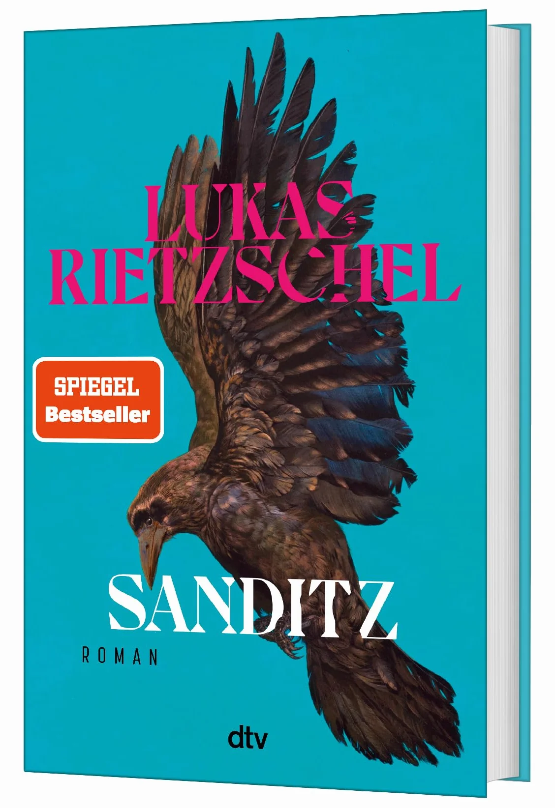 Sanditz: Roman | Das große Epos der Nachwendezeit: 'Rietzschel ist eine der wichtigsten jungen Stimmen Ostdeutschlands.' Frankfurter Allgemeine Zeitung