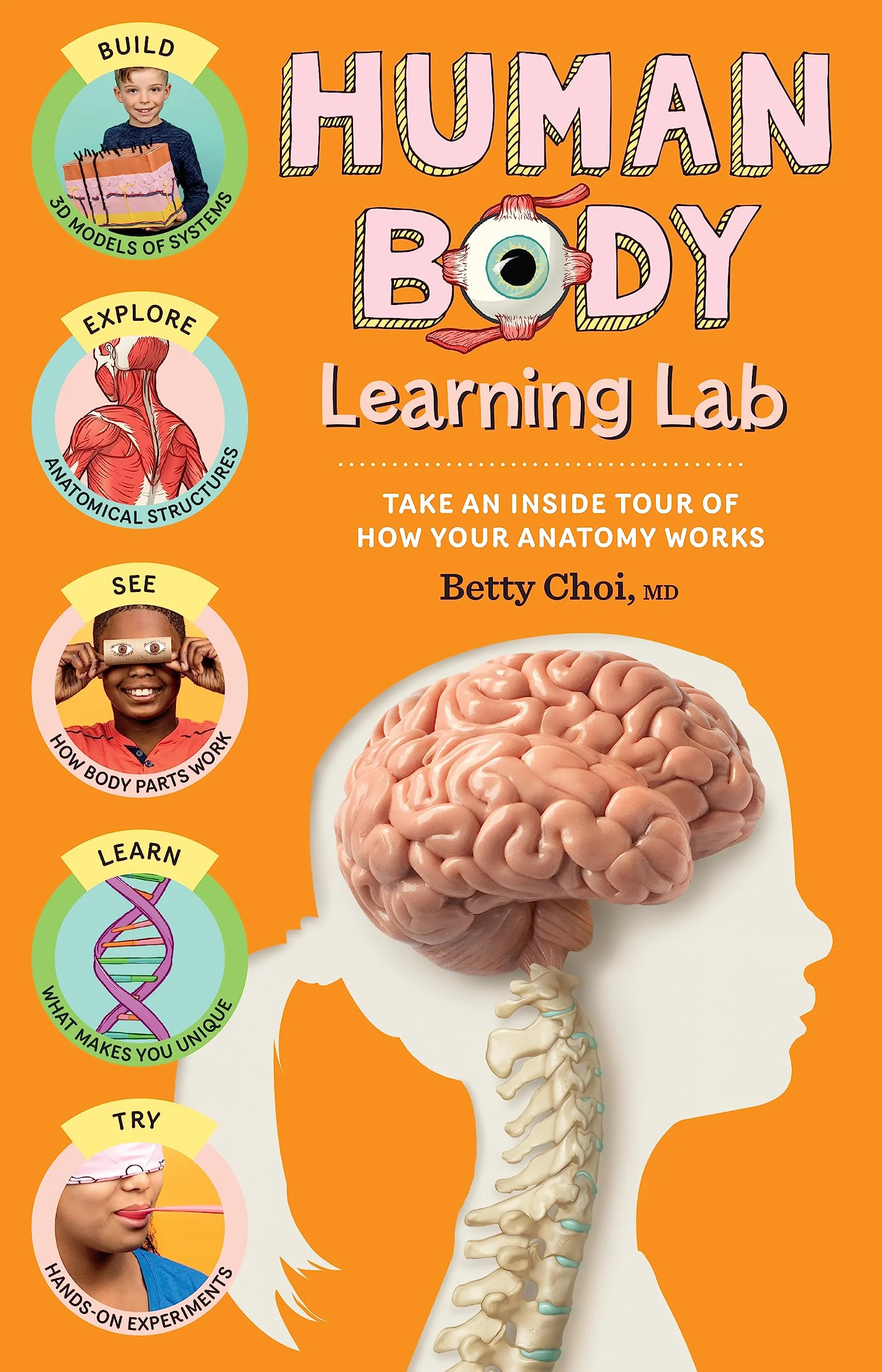 Human Body Learning Lab: Take an Inside Tour of How Your Anatomy Works