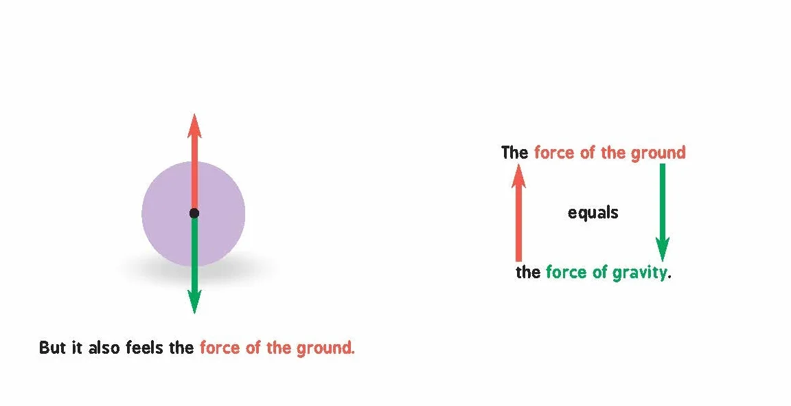Newtonian Physics for Babies: 1 (Baby University): 0
