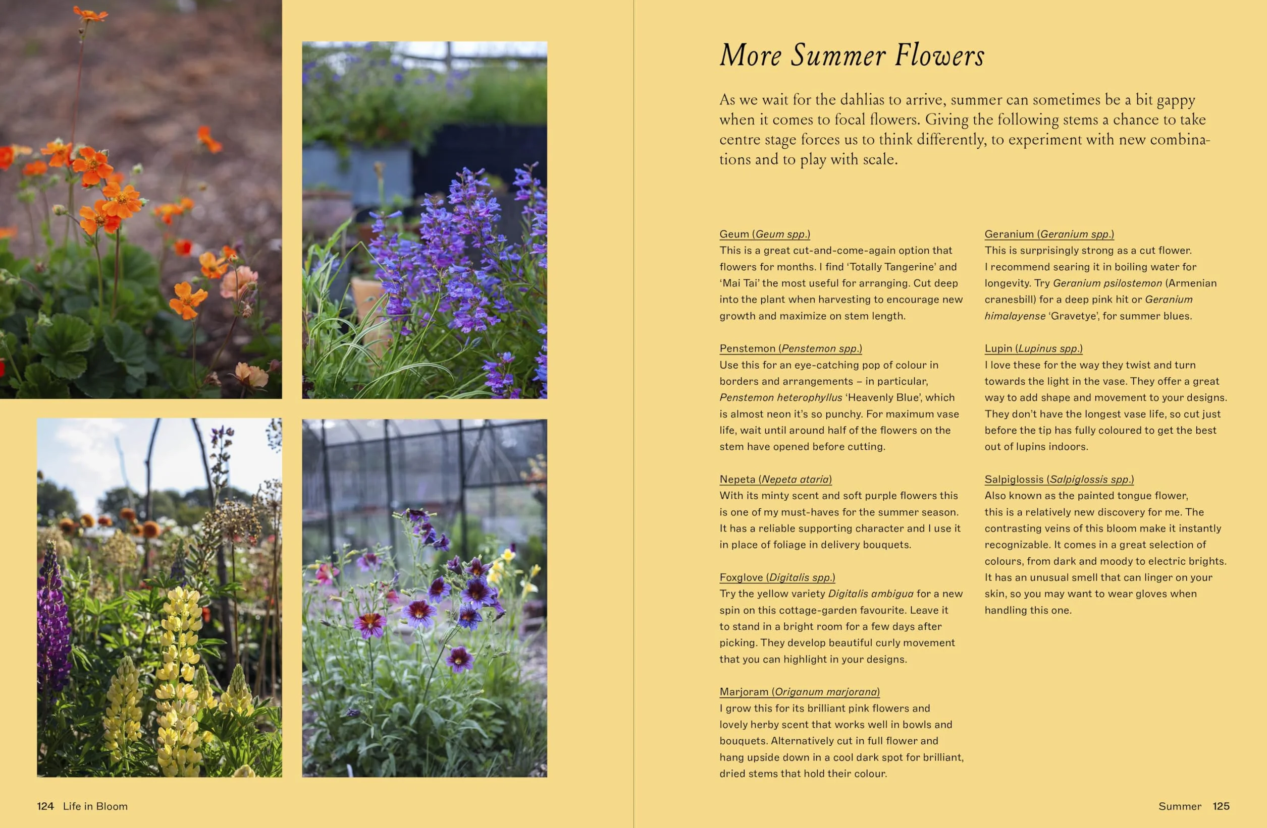 Life in Bloom: Grow, Gather & Arrange Seasonal Flowers