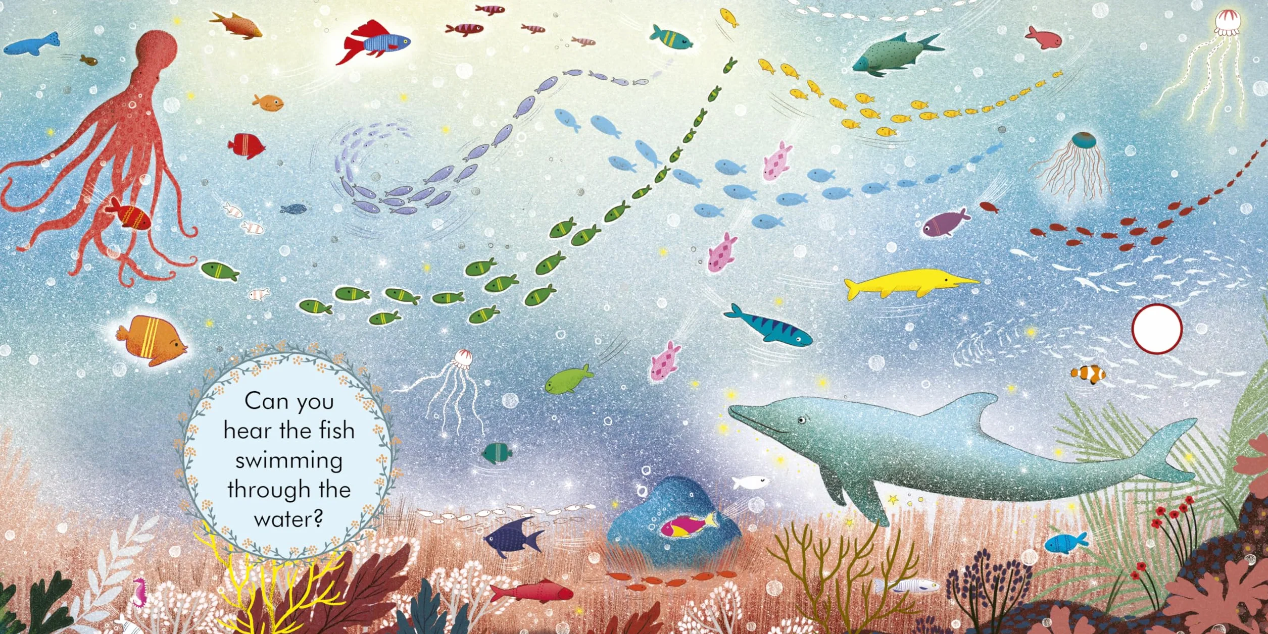 My First Story Orchestra: Carnival of the Animals: Press the Buttons to Hear 6 Sounds