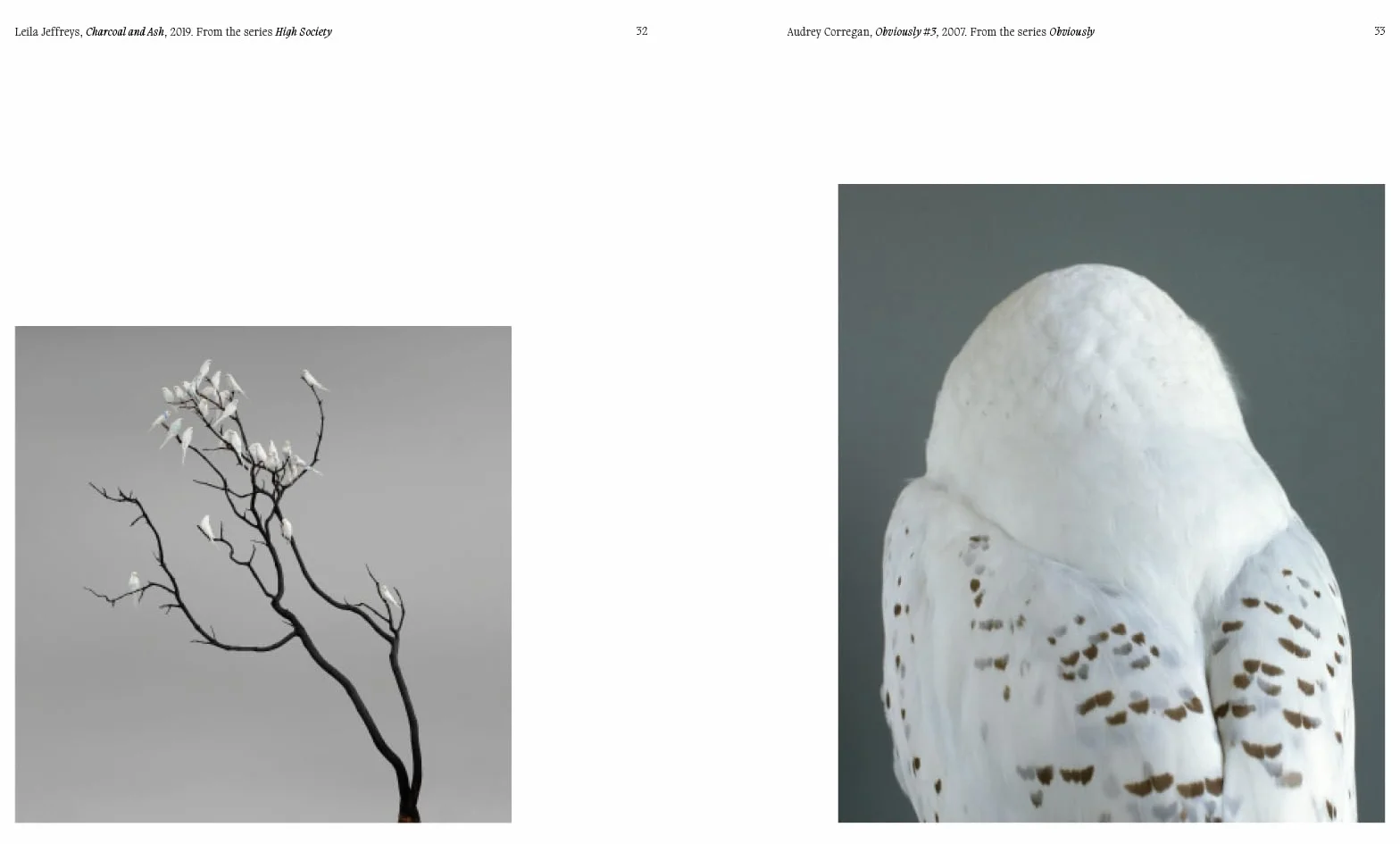 Aviary The Bird in Contemporary Photography /anglais