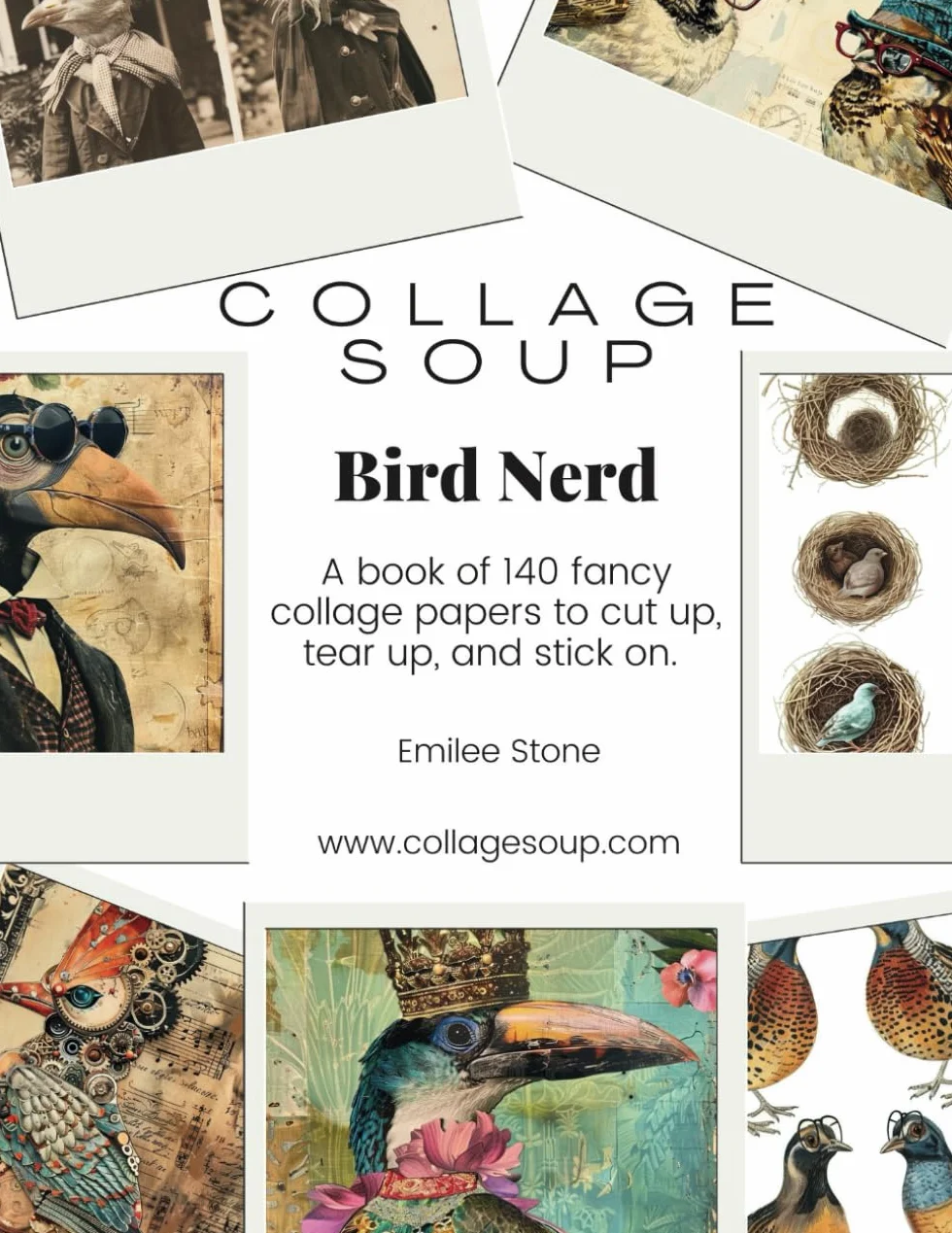 Collage Soup - Bird Nerd: A book of 140 fancy collage papers to cut up, tear up, and stick on