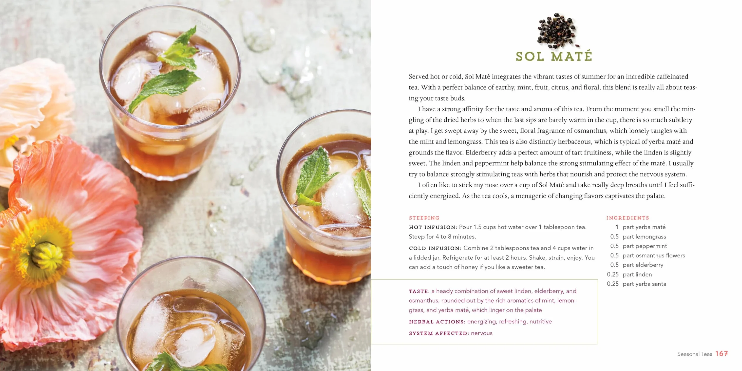 Healing Herbal Teas: Learn to Blend 101 Specially Formulated Teas for Stress Management, Common Ailments, Seasonal Health, and Immune Support