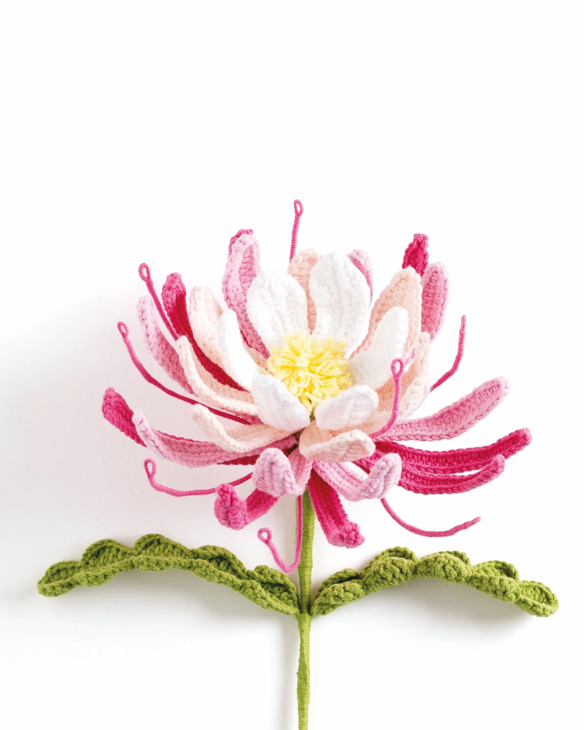 Crochet a Flower Bouquet: 35 Crochet Patterns for Handmade Flowers and Foliage