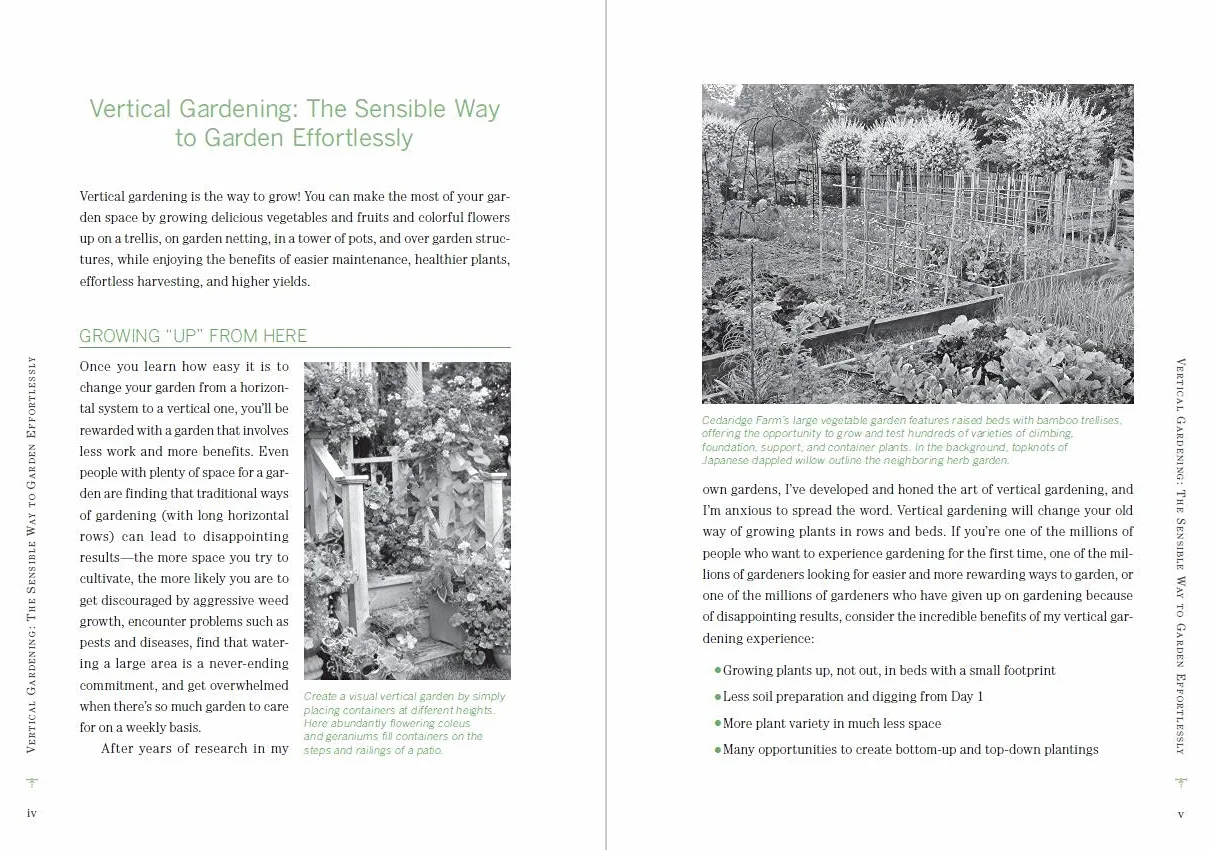 Vertical Gardening: Grow Up, Not Out, for More Vegetables and Flowers in Much Less Space