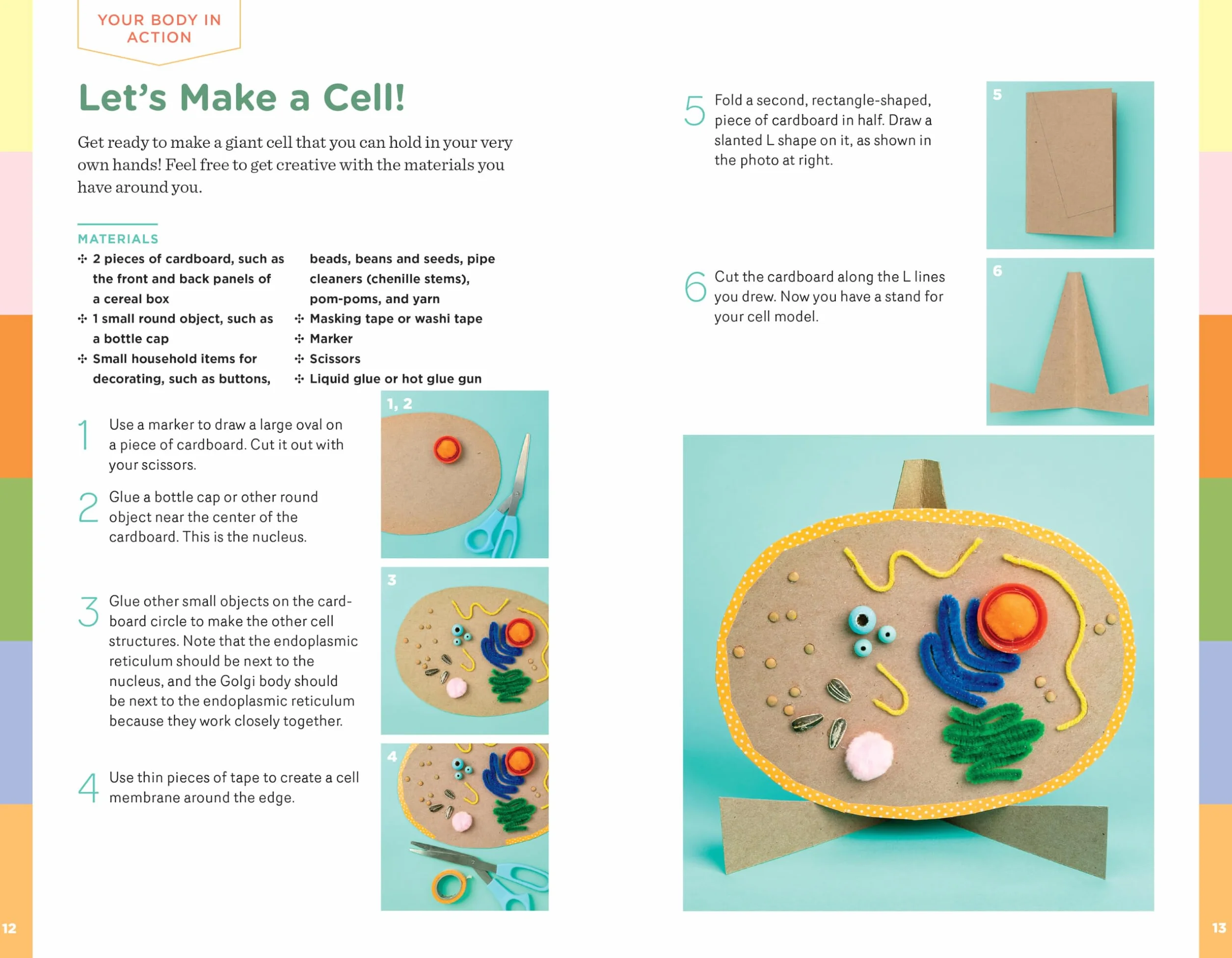 Human Body Learning Lab: Take an Inside Tour of How Your Anatomy Works