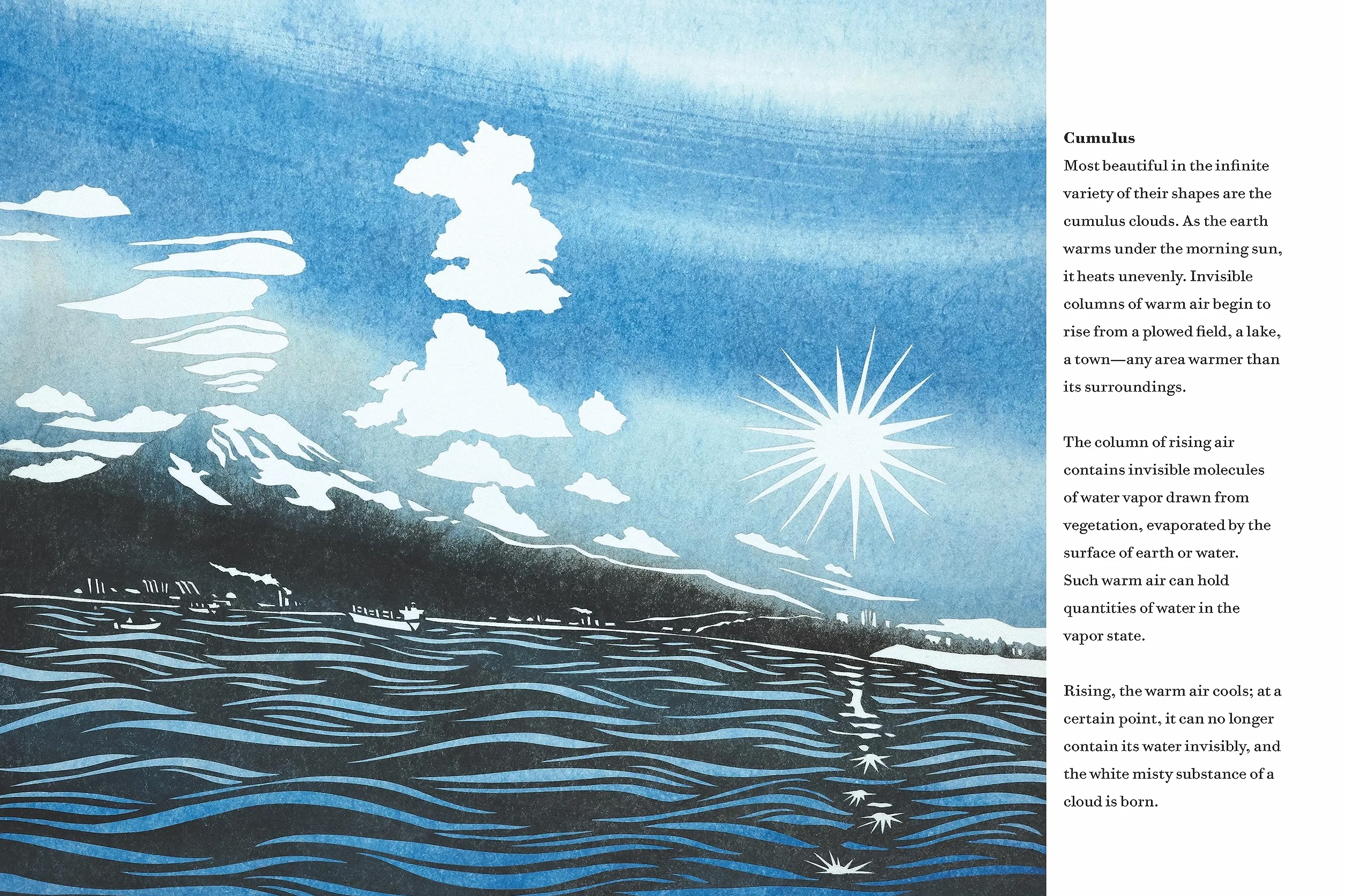 Something About the Sky: A Story of Sibling Conflict and Companionship