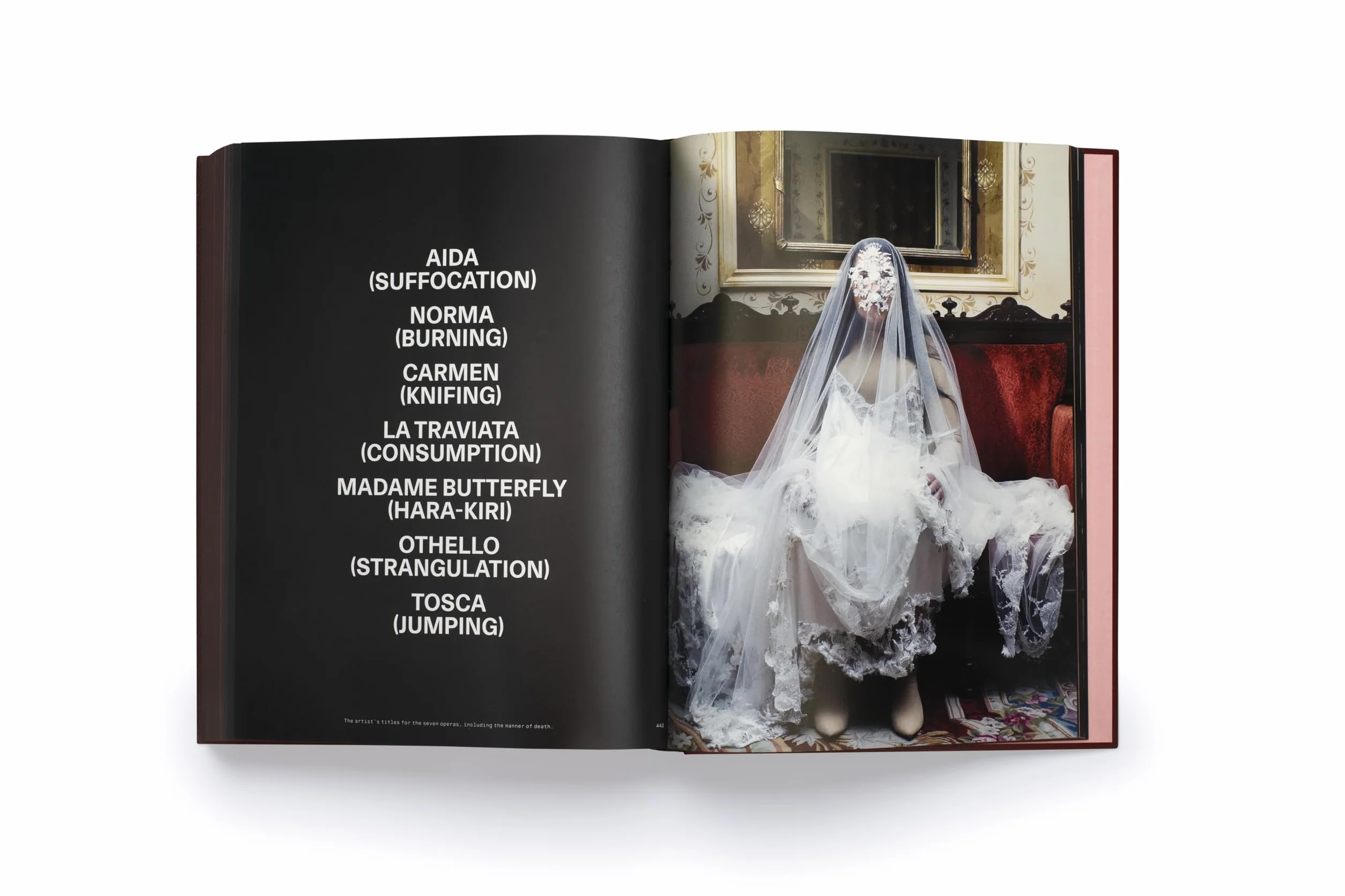 Marina Abramovic A Visual Biography /anglais