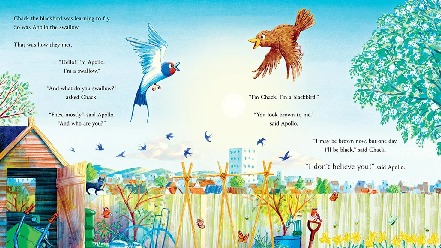 Follow the Swallow: A brilliantly funny illustrated children’s picture book about friendship from the author of The Gruffalo, perfect for ages 3 to 7