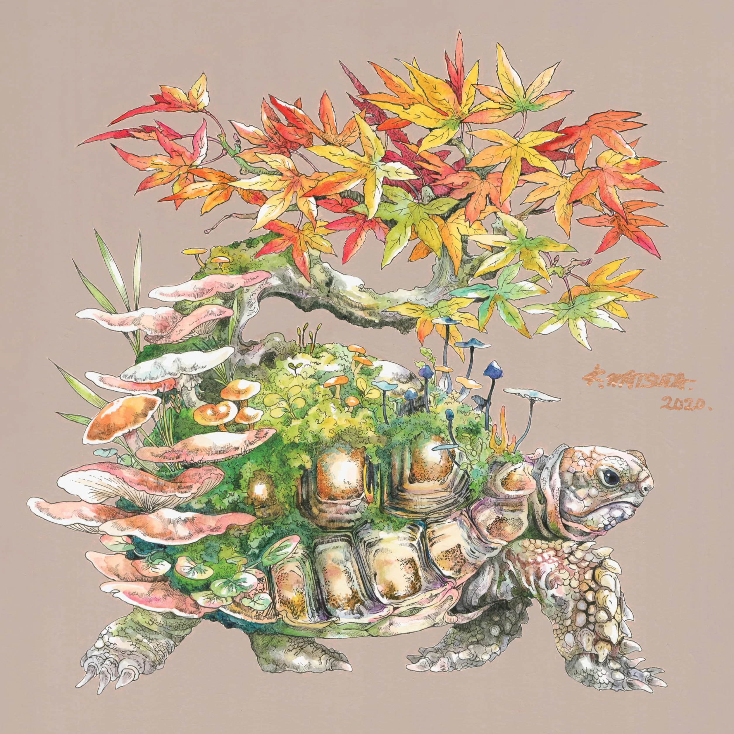 Ecotopia: Color a World of Wonder