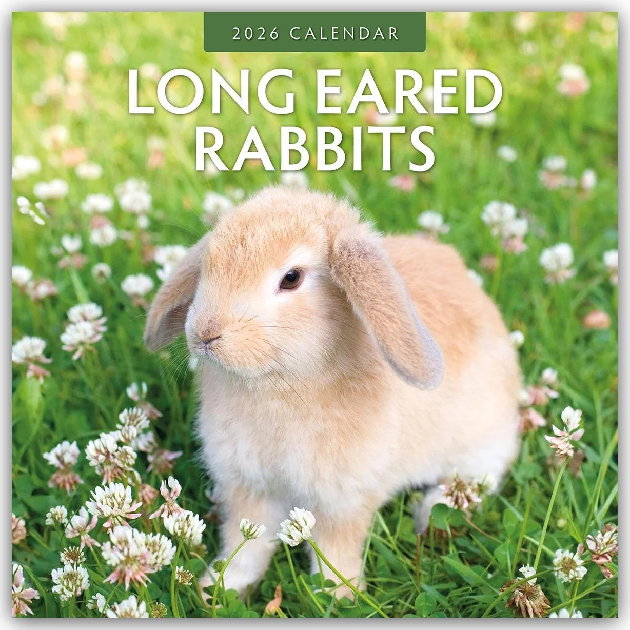 Long Eared Rabbits 2026 Square Wall Calendar: Original Red Robin Publishing Ltd-Kalender [Mehrsprachig] [Kalender]