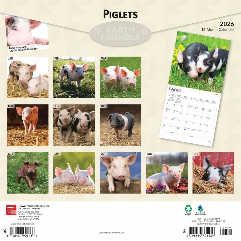 Piglets – Ferkel 2026 – 16-Monatskalender: Original BrownTrout-Kalender [Mehrsprachig] [Kalender]