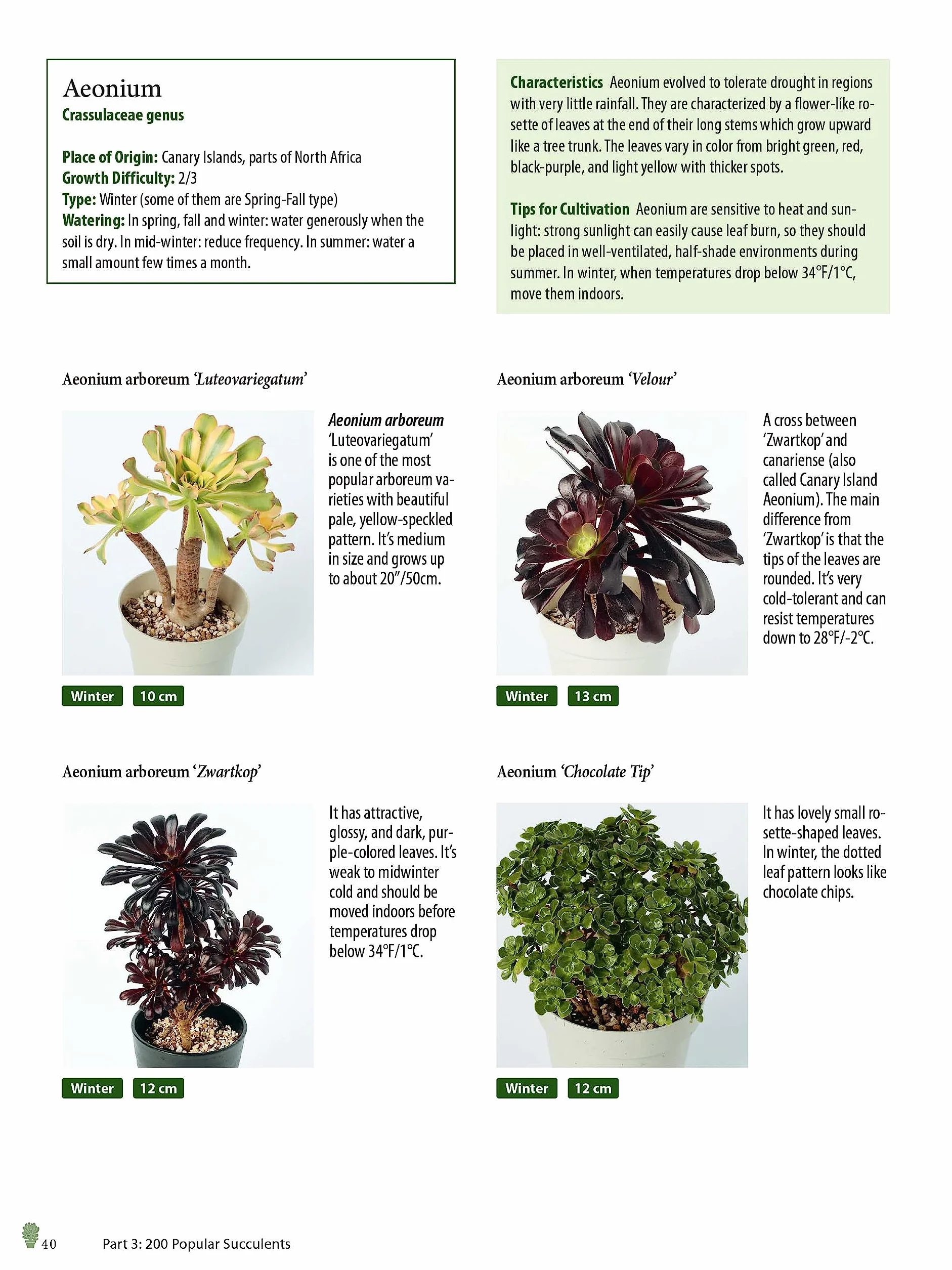 Growing Succulents: A Pictorial Guide (Over 1,500 Photos and 700 Plants)