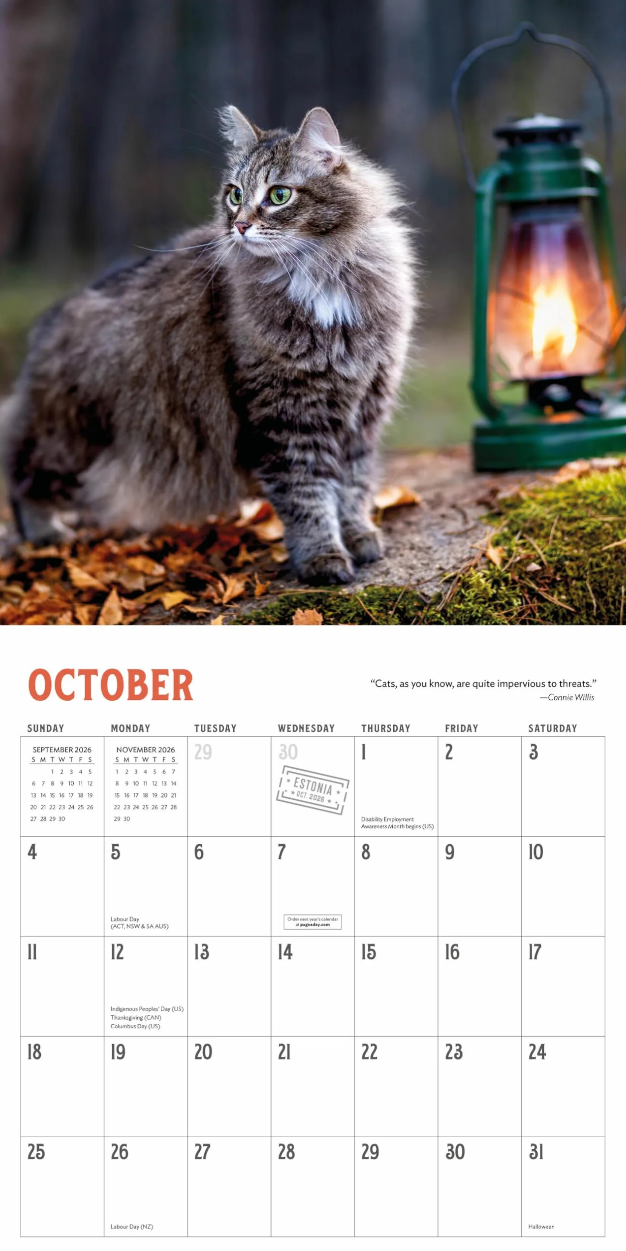 Travel Cats Wall Calendar 2026