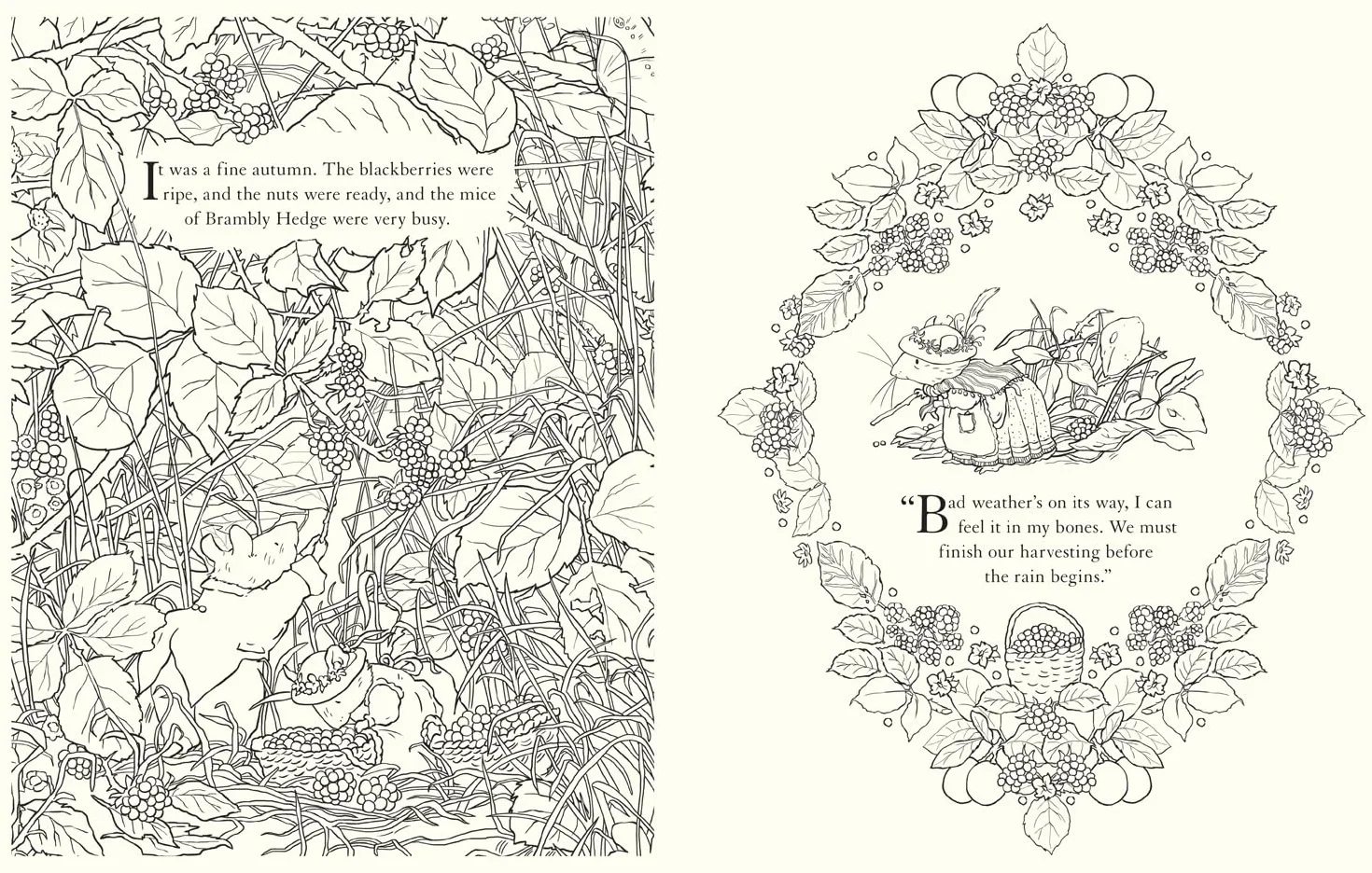 Brambly Hedge Festive Colouring Book: Magical Colouring for Children & Adults