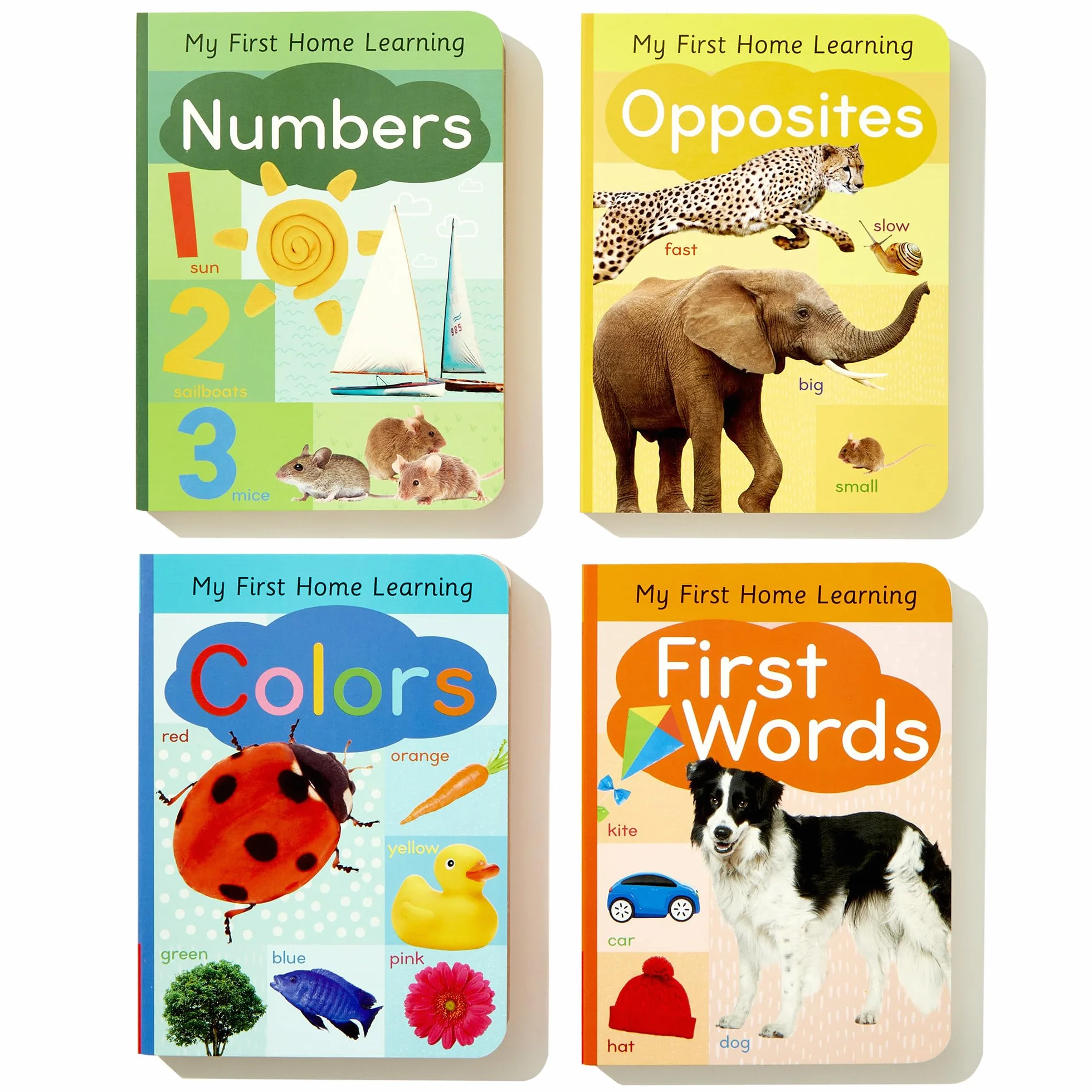 My First Learning Library 4-Book Boxed Set: Includes First Words, Colors, Opposites, and Numbers