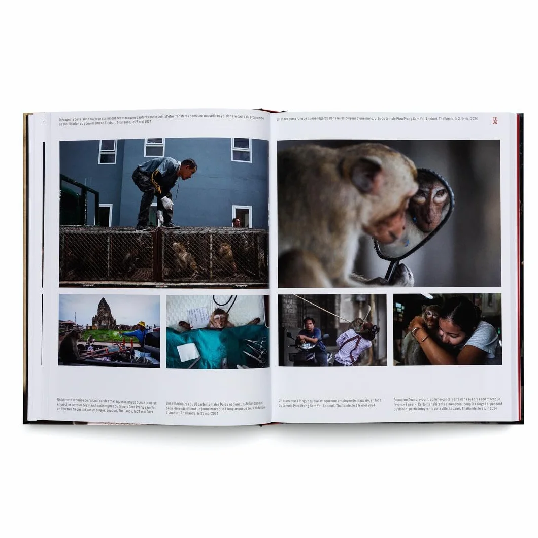 World Press Photo Yearbook: Les photographies de presse les plus marquantes de l'année - et les histoires qu'elles racontent