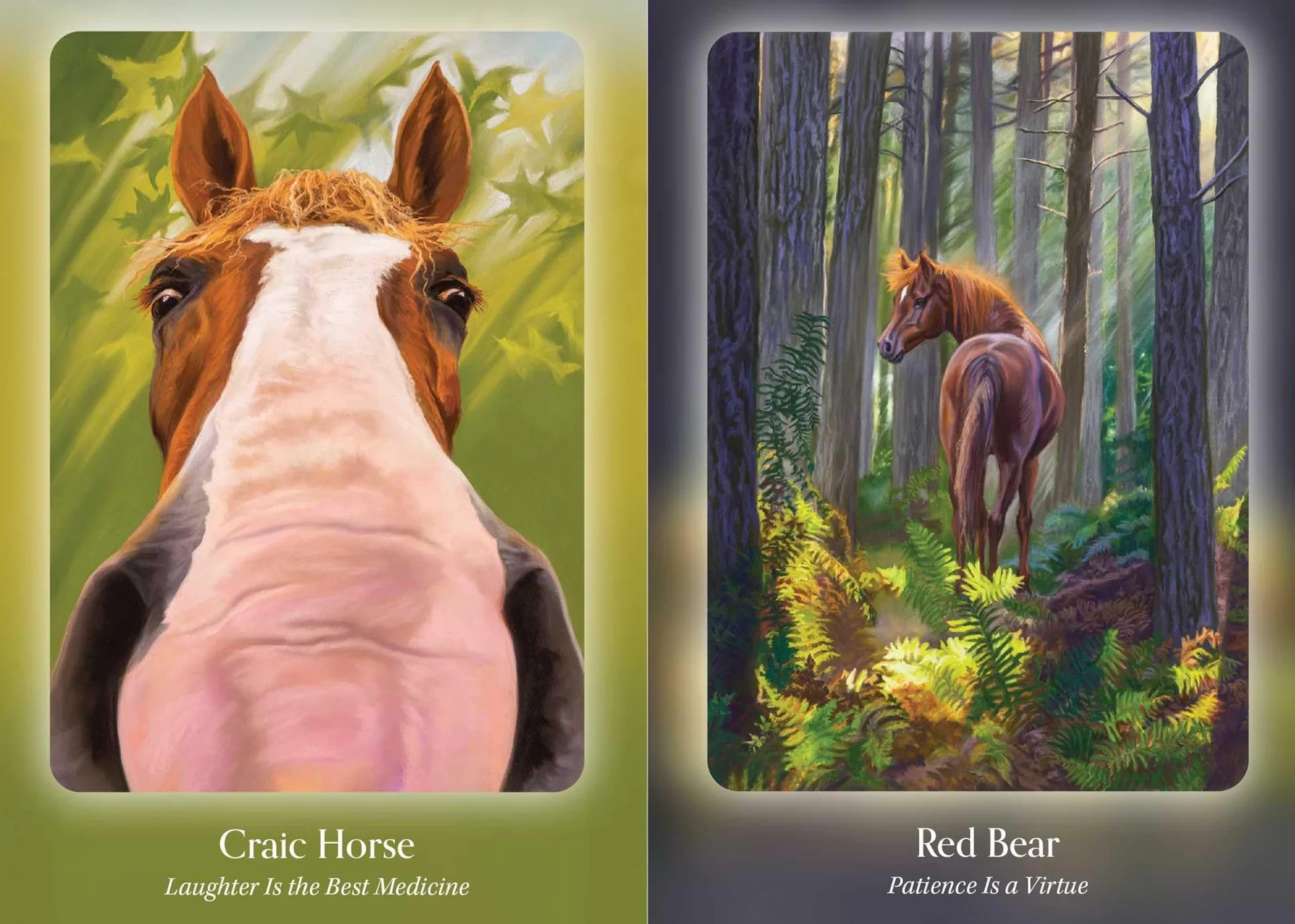 The Council of Horses Oracle: A 40-Card Deck and Guidebook