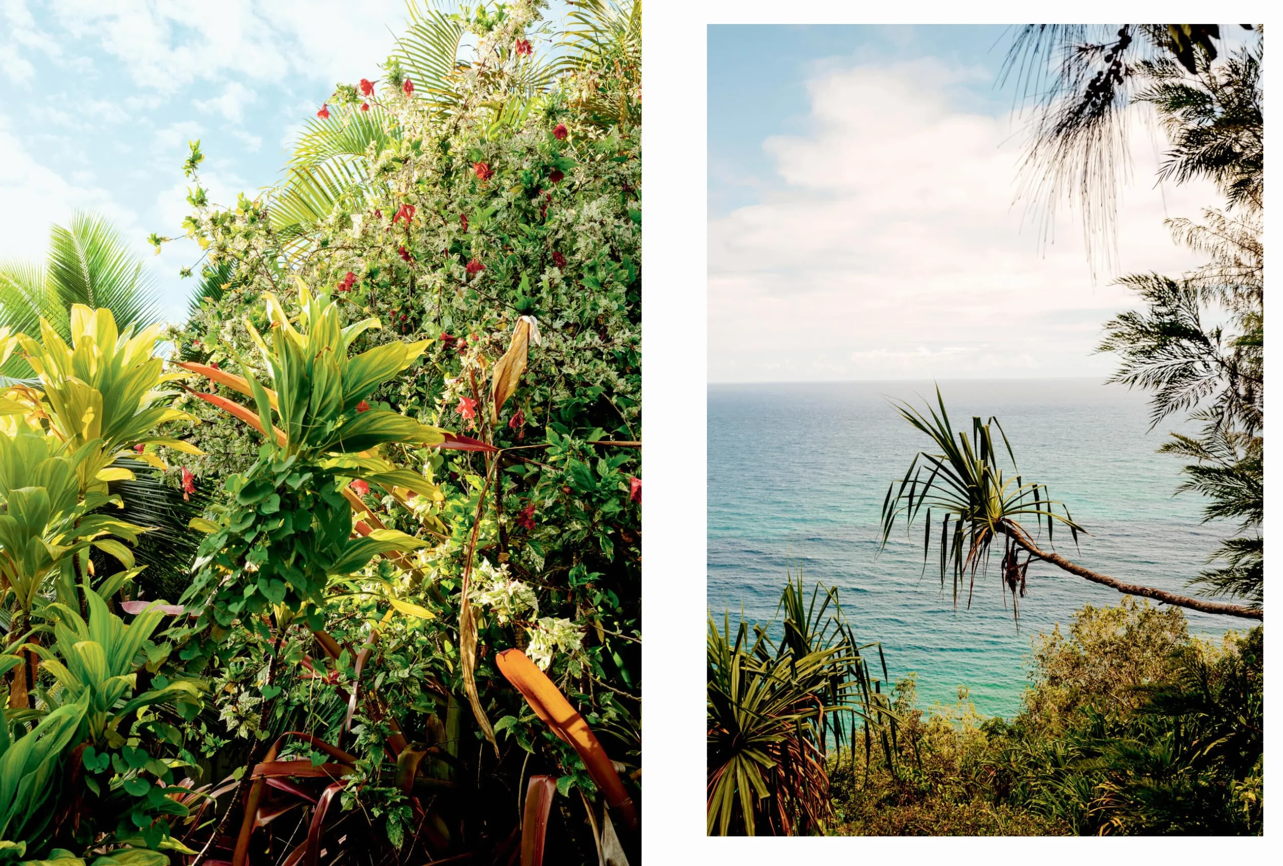 Kinfolk Wilderness /anglais: Kinfolk Adventures